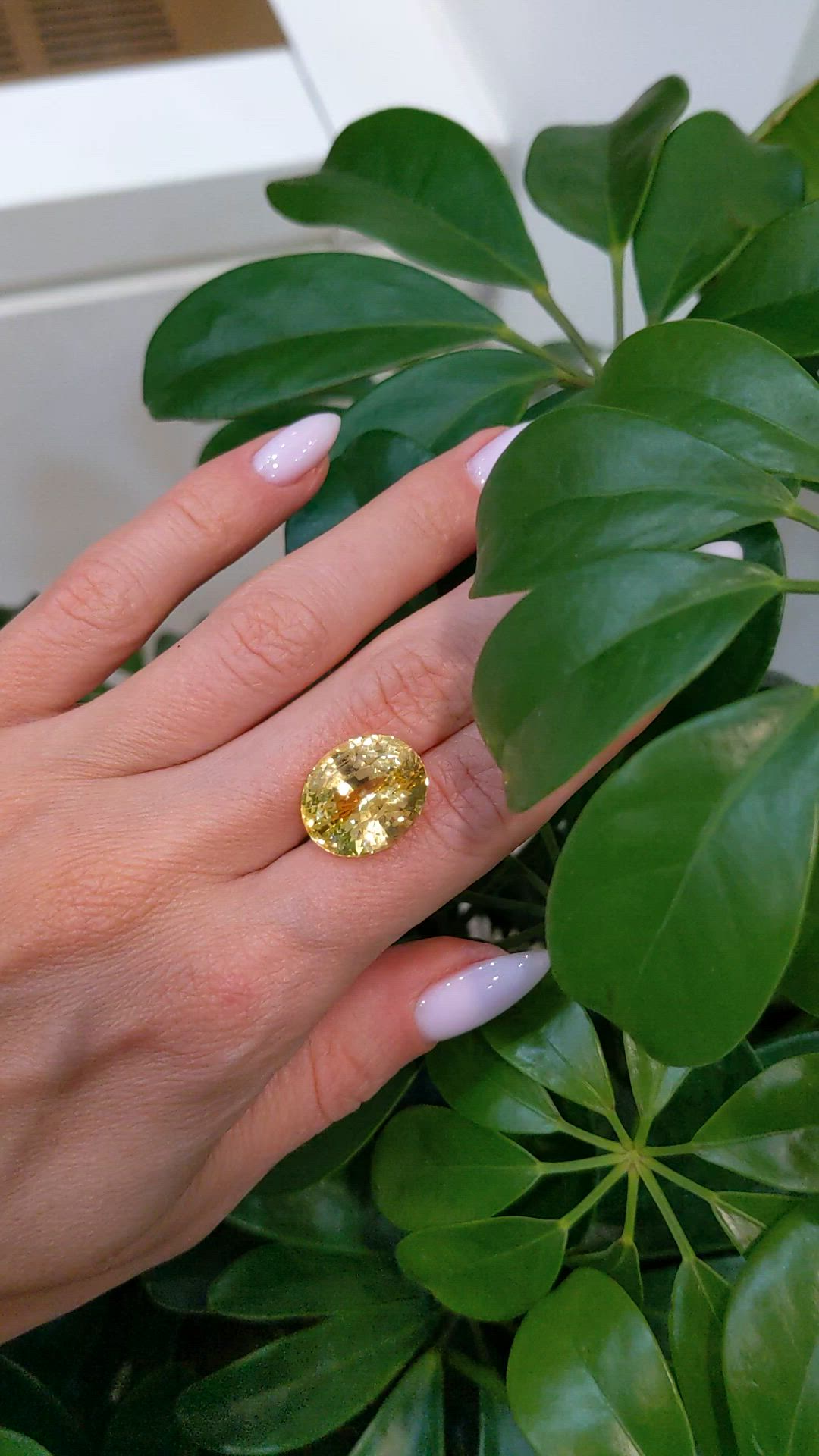 17.56 Ct. Yellow Sapphire from Ceylon (Sri Lanka) Size Video