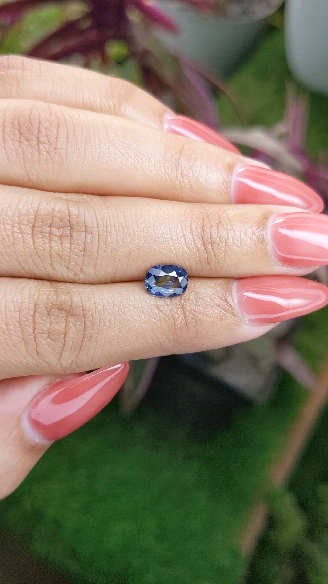 1.43 Ct. Bi Color Sapphire from Ceylon (Sri Lanka) Size Video