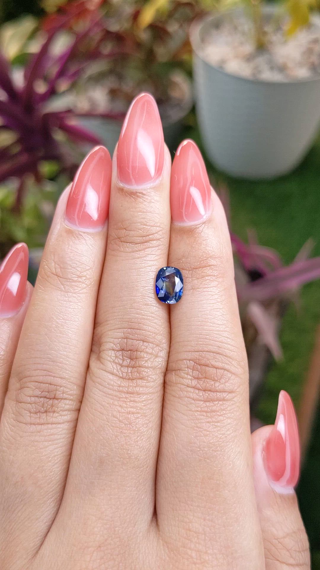 1.43 Ct. Bi Color Sapphire from Ceylon (Sri Lanka) Size Video