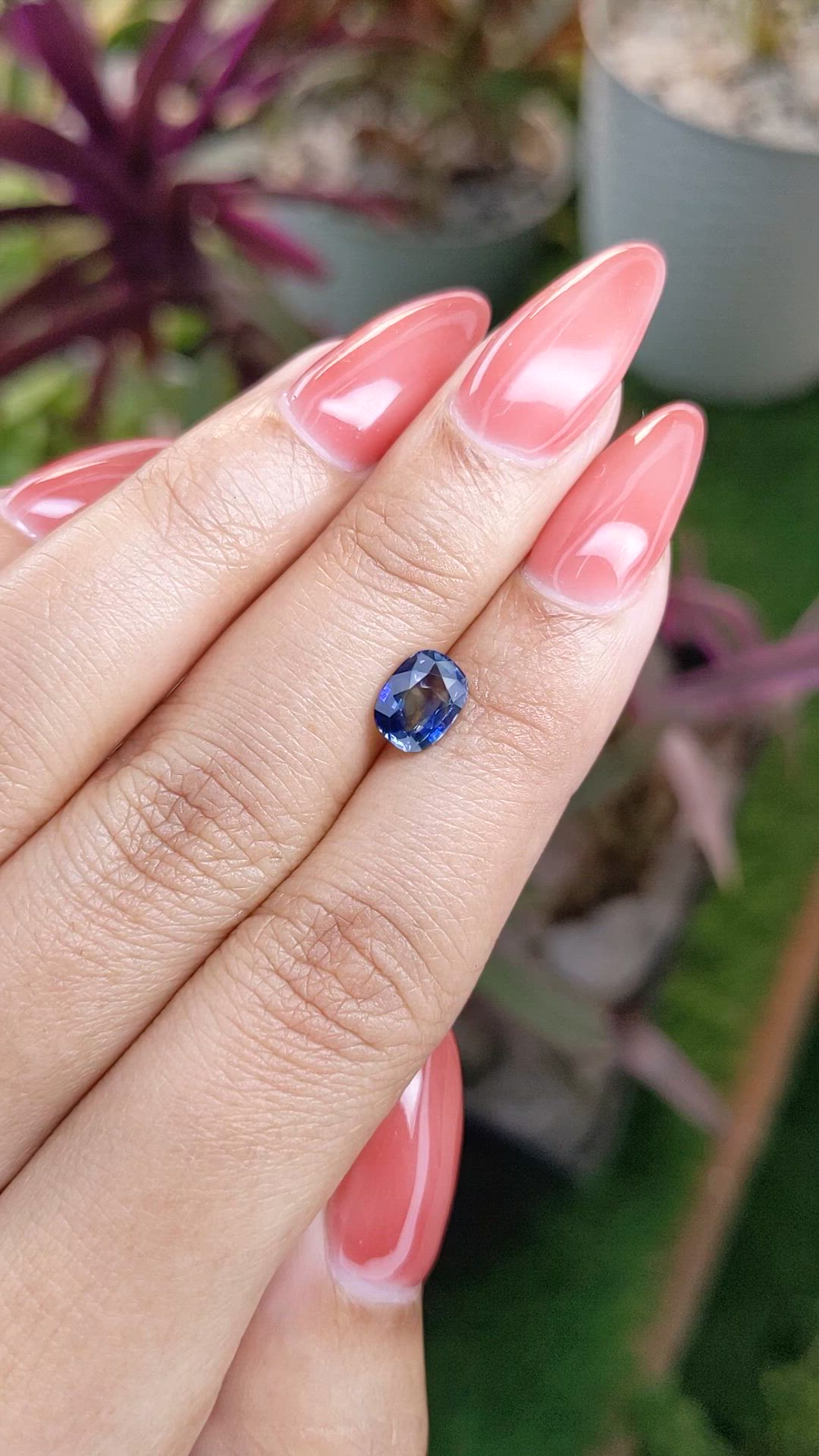 1.43 Ct. Bi Color Sapphire from Ceylon (Sri Lanka) Size Video