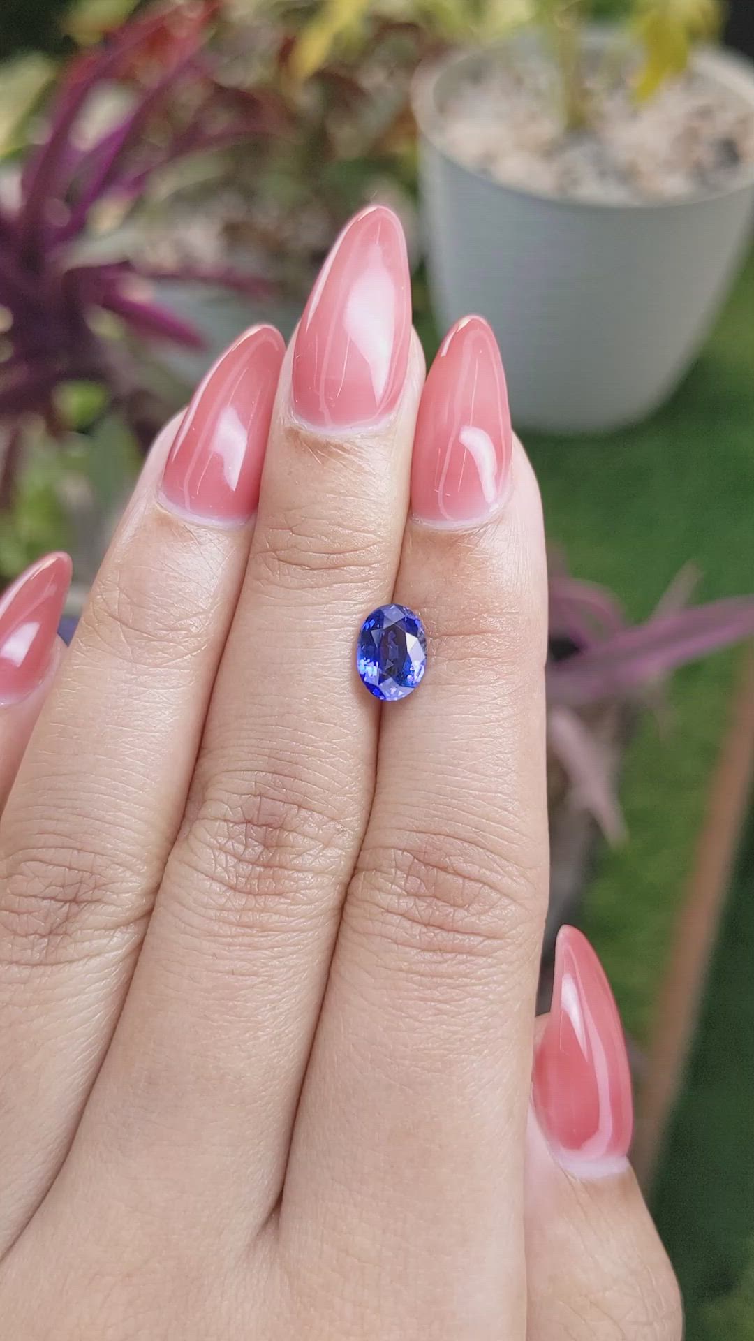 1.72 Ct. Blue Sapphire from Ceylon (Sri Lanka) Size Video