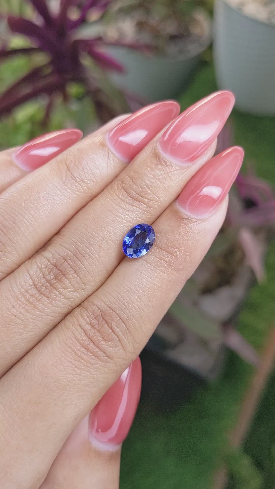 1.72 Ct. Blue Sapphire from Ceylon (Sri Lanka) Size Video