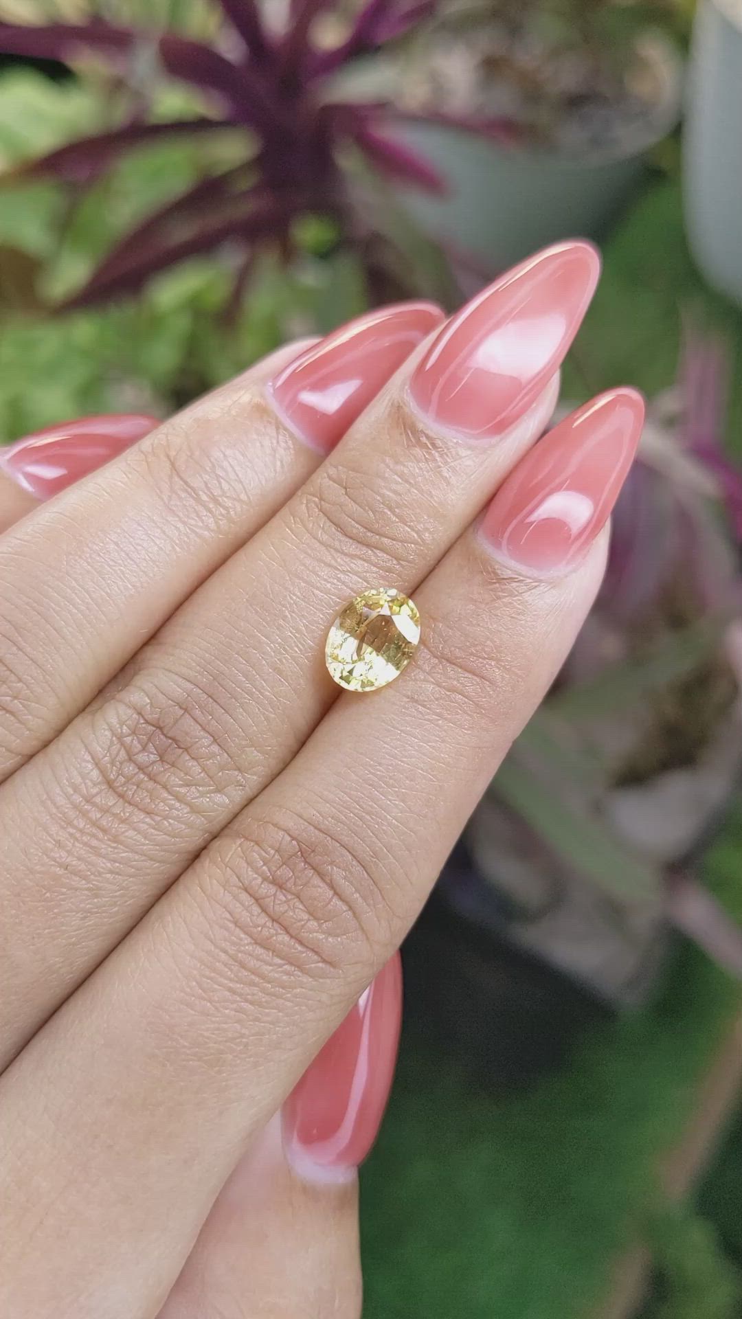 2.23 Ct. Yellow Sapphire from Ceylon (Sri Lanka) Size Video