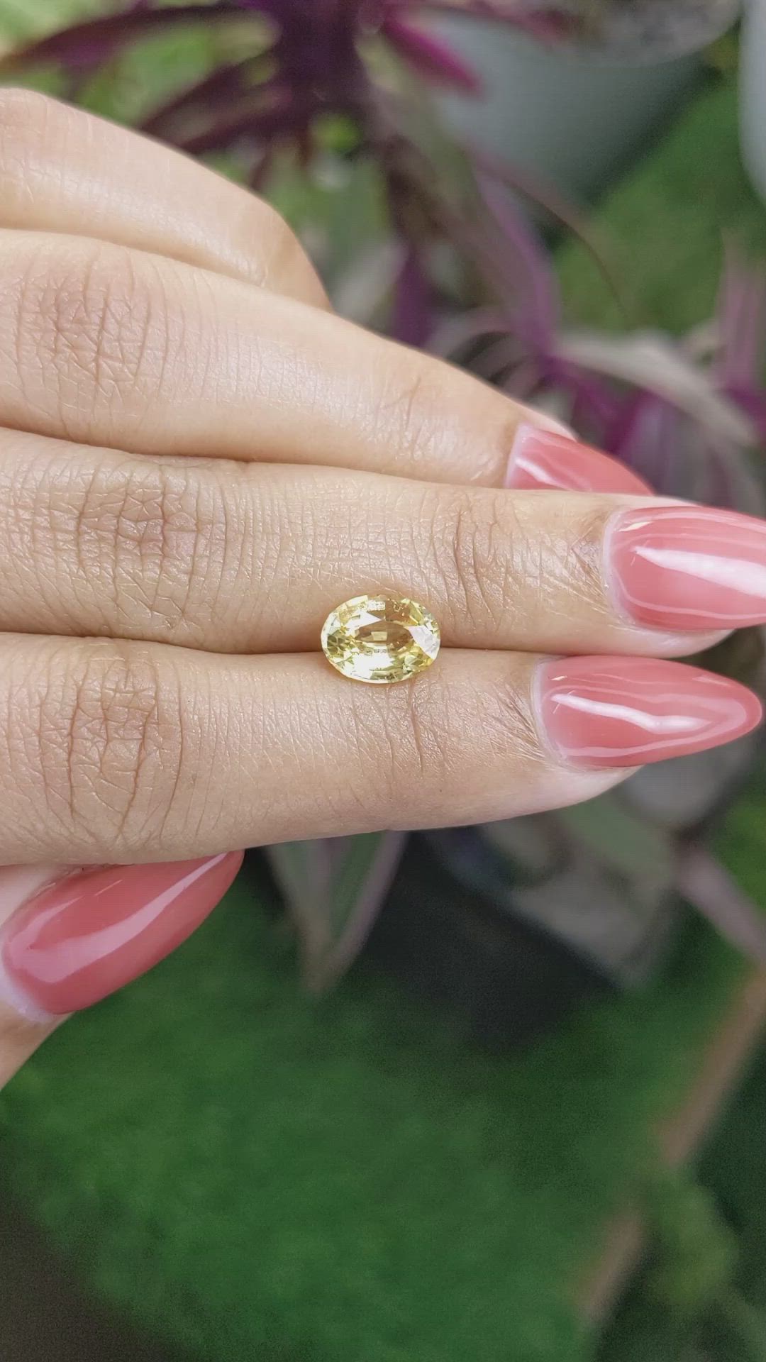 2.23 Ct. Yellow Sapphire from Ceylon (Sri Lanka) Size Video
