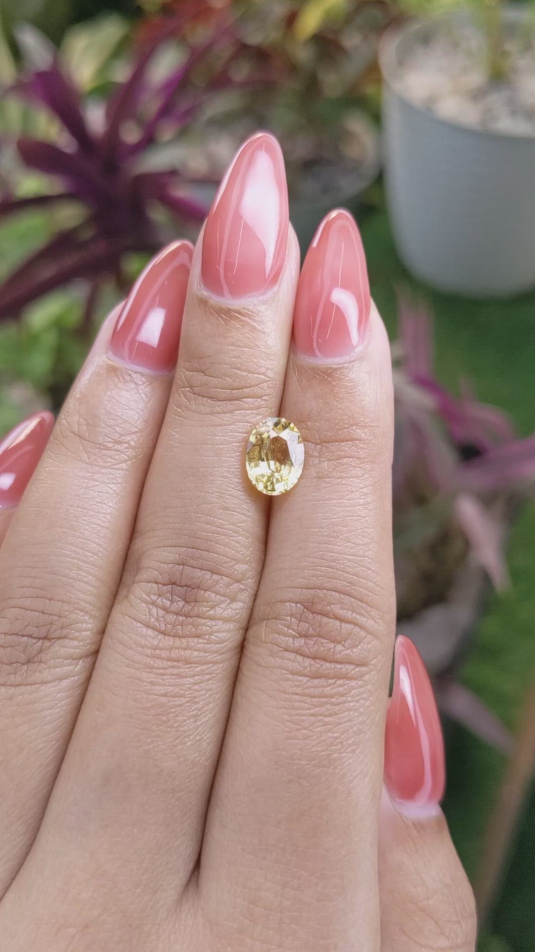 2.23 Ct. Yellow Sapphire from Ceylon (Sri Lanka) Size Video