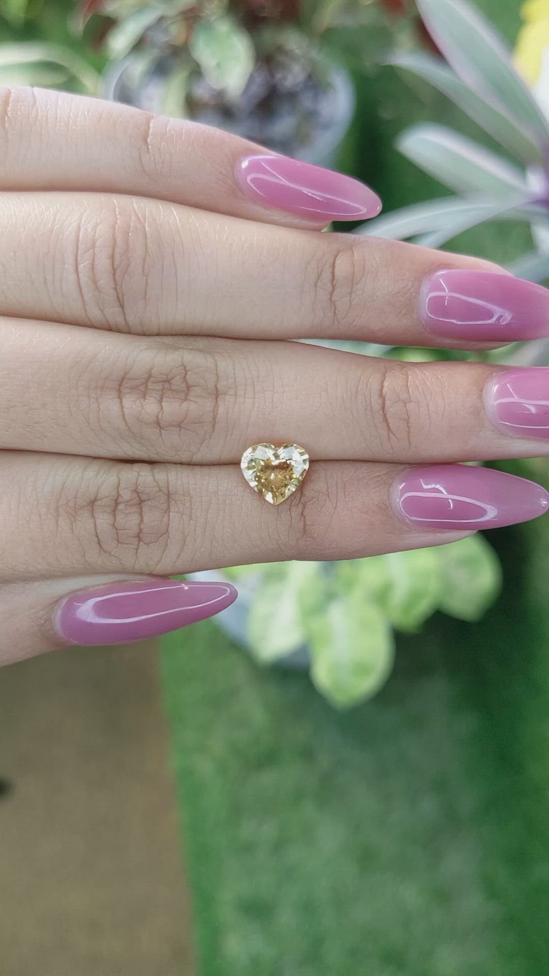 1.69 Ct. Yellow Sapphire from Ceylon (Sri Lanka) Size Video