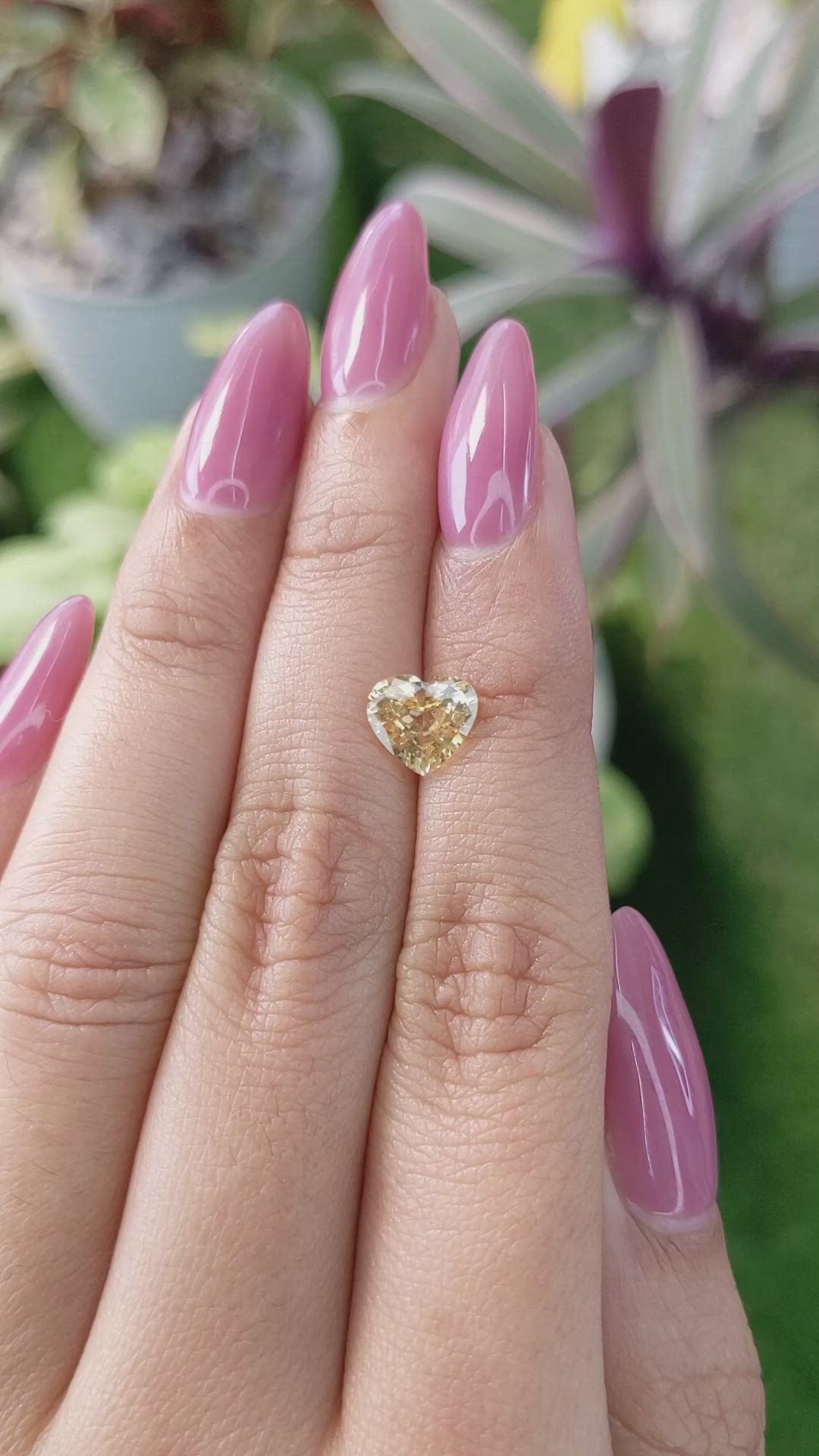 1.69 Ct. Yellow Sapphire from Ceylon (Sri Lanka) Size Video