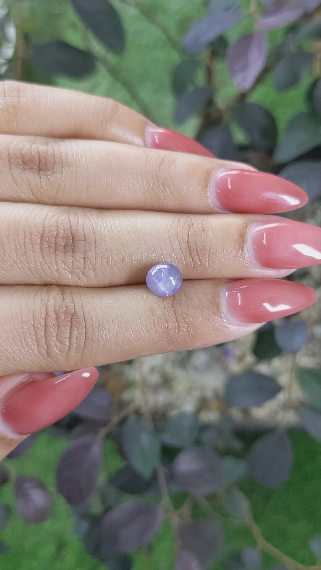 2.37 Ct. Violet Star Sapphire from Ceylon (Sri Lanka) Size Video