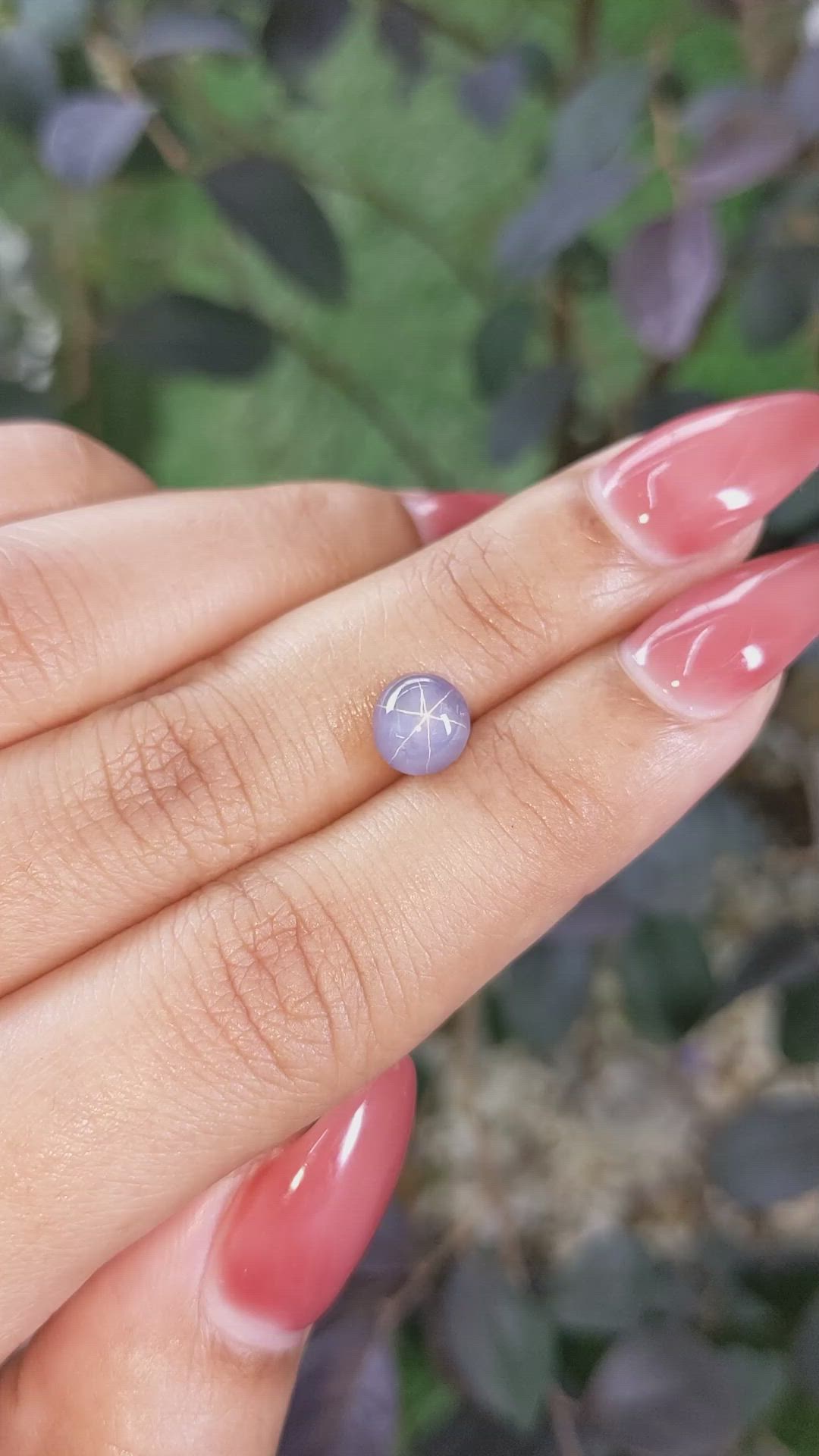 2.37 Ct. Violet Star Sapphire from Ceylon (Sri Lanka) Size Video