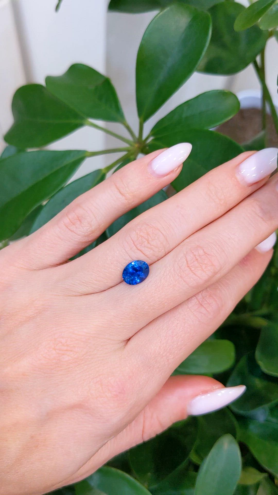 1.80 Ct. Blue Sapphire from Ceylon (Sri Lanka) Size Video