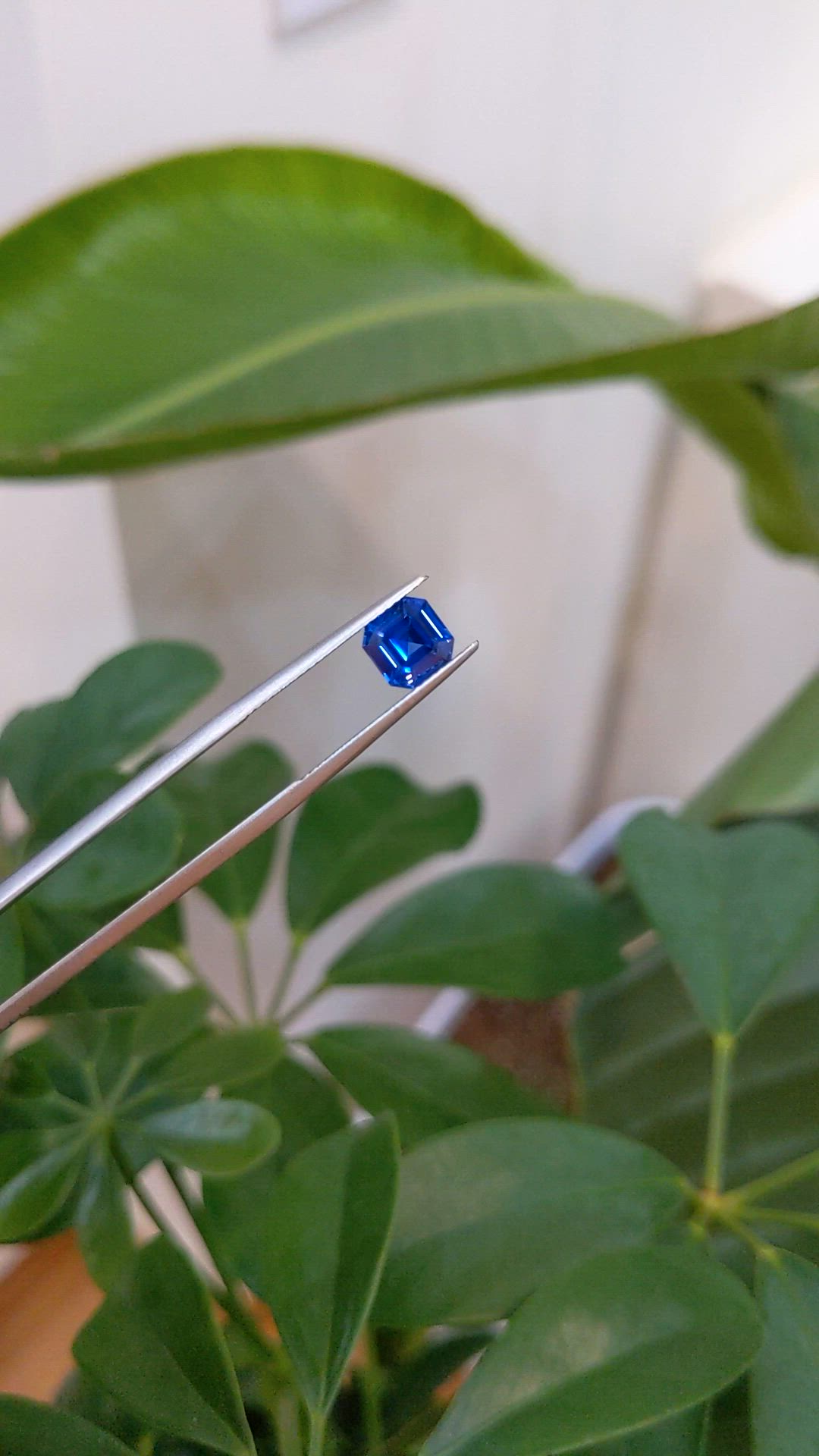 1.73 Ct. Blue Sapphire from Ceylon (Sri Lanka) Size Video
