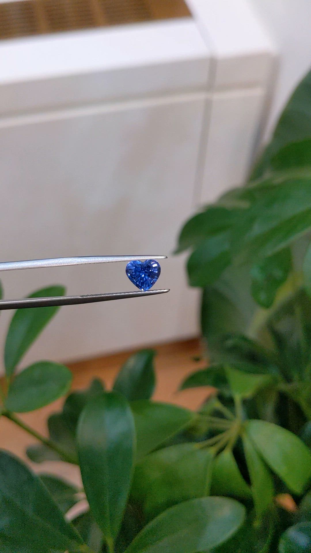 1.70 Ct. Blue Sapphire from Ceylon (Sri Lanka) Size Video