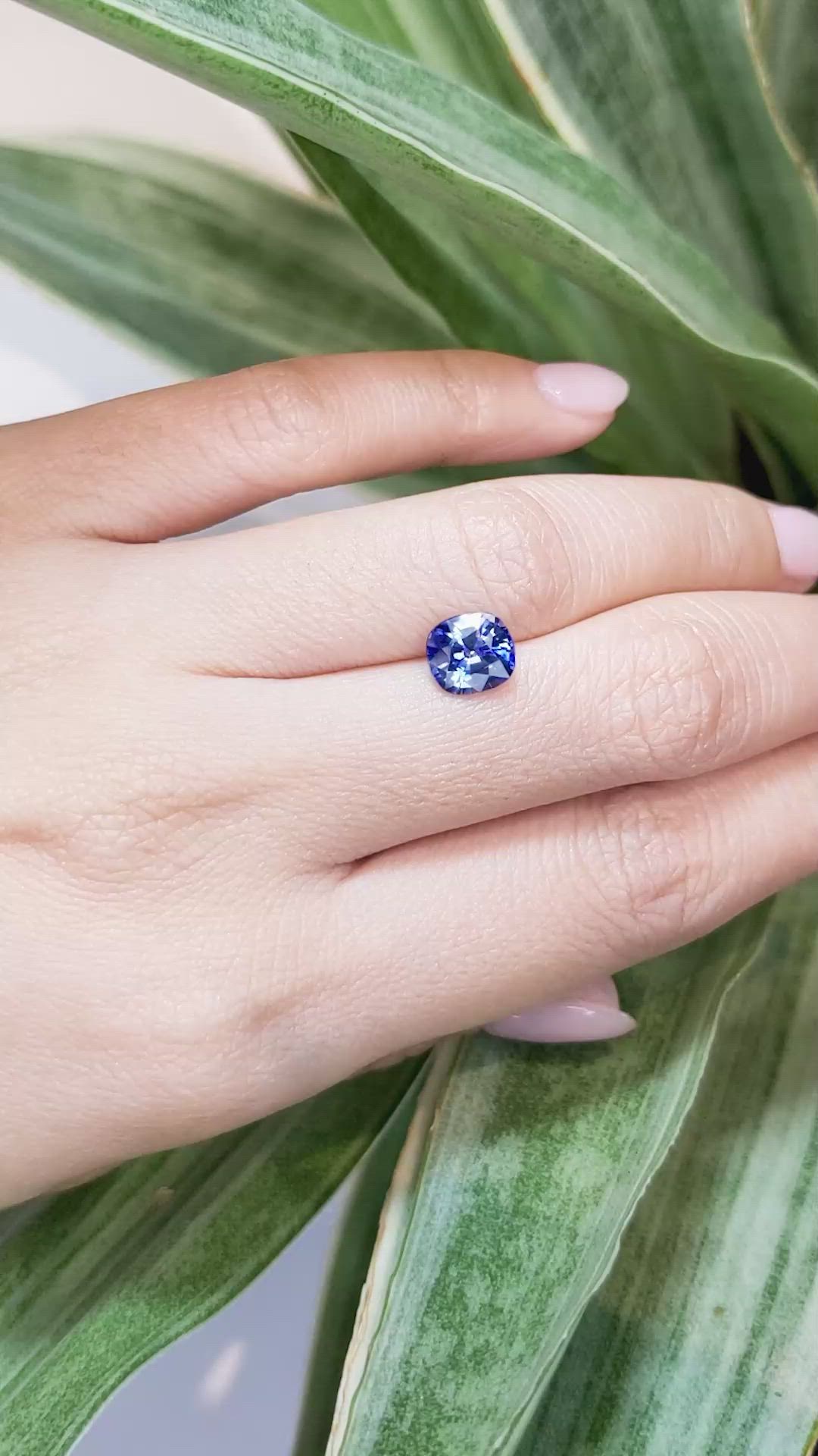 2.11 Ct. Bi Color Sapphire from Nigeria Size Video