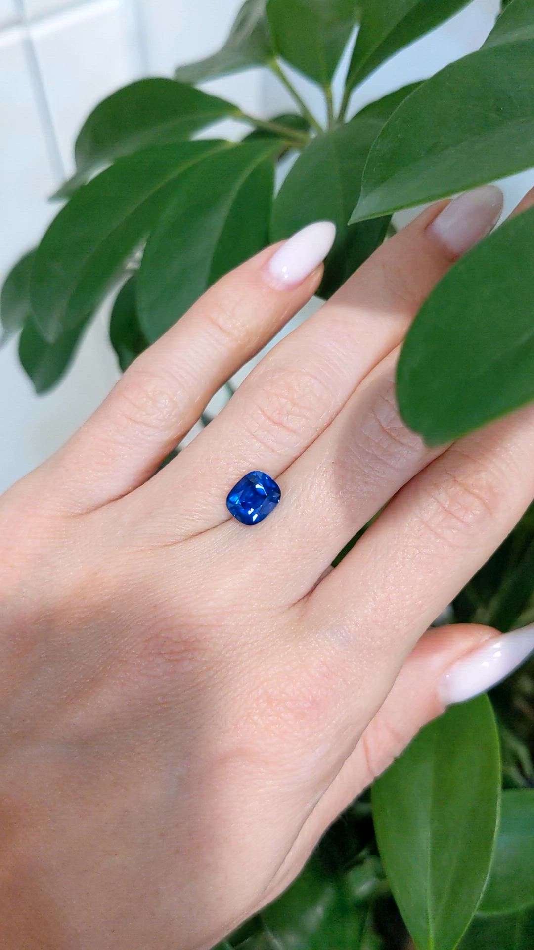 2.29 Ct. Blue Sapphire from Ceylon (Sri Lanka) Size Video