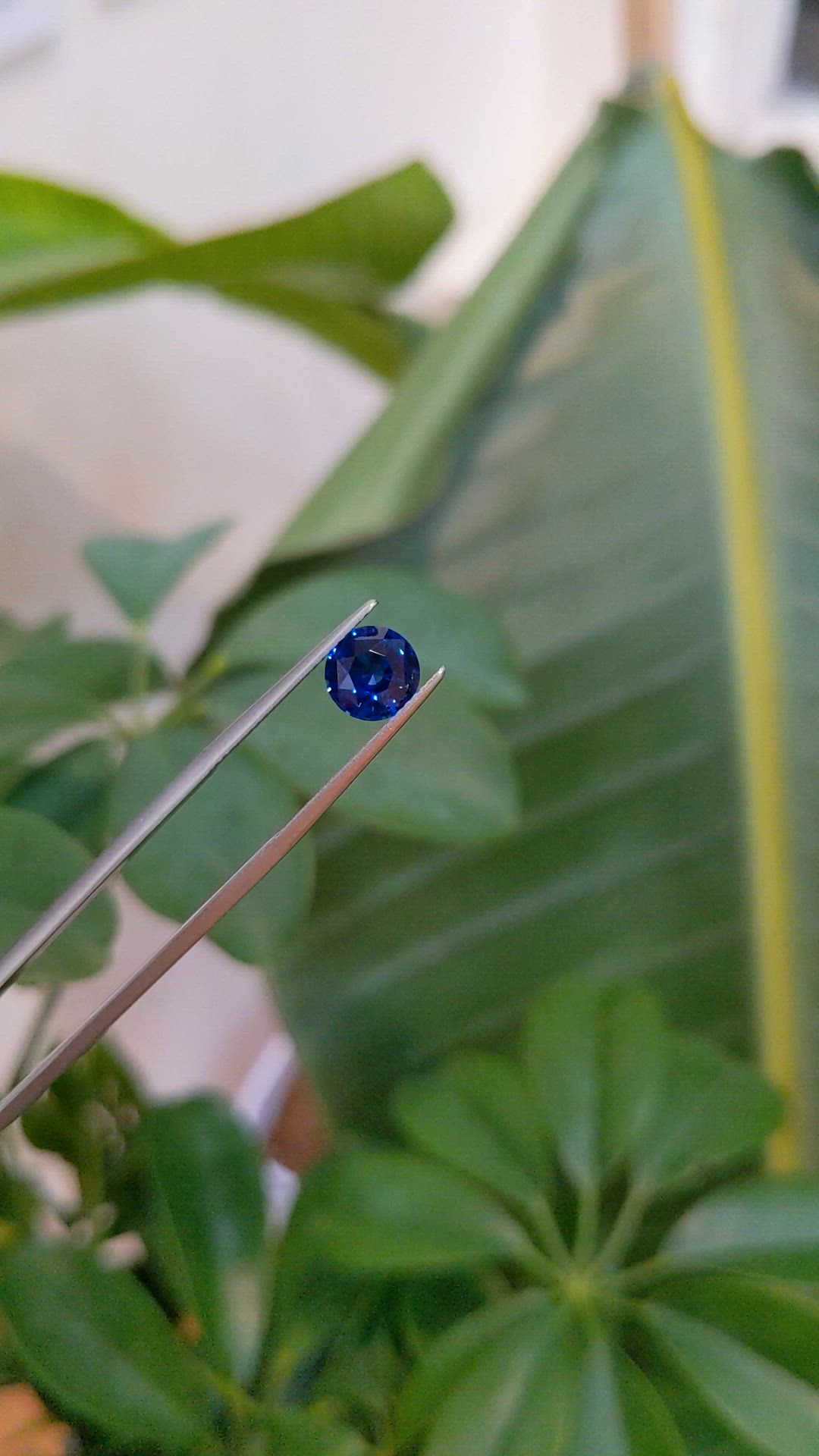 2.04 Ct. Blue Sapphire from Ceylon (Sri Lanka) Size Video