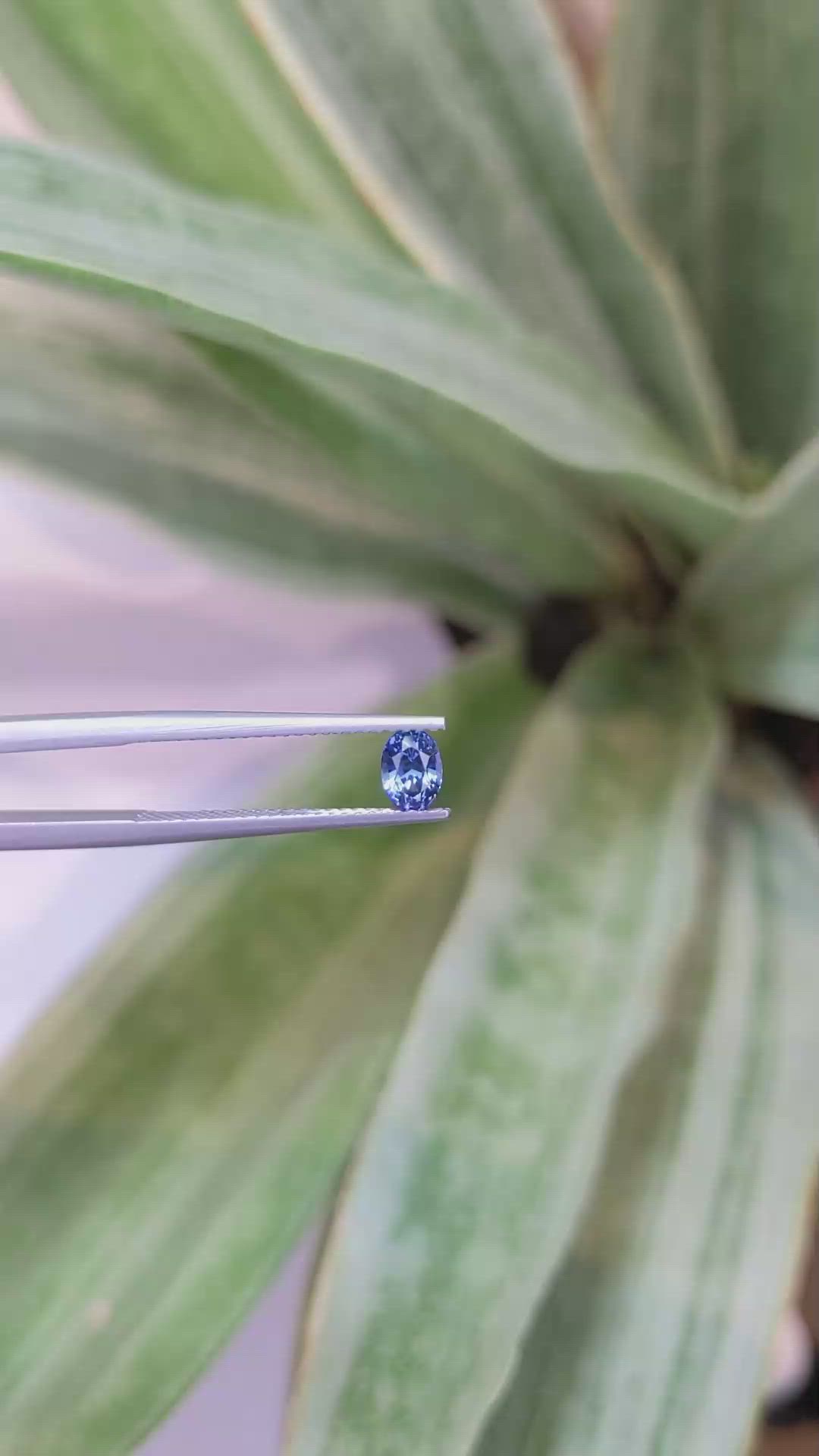 0.54 Ct. Blue Sapphire from Ceylon (Sri Lanka) Size Video