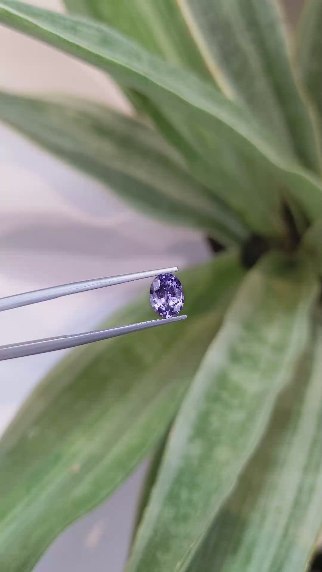1.15 Ct. Sapphire from Ceylon (Sri Lanka) Size Video