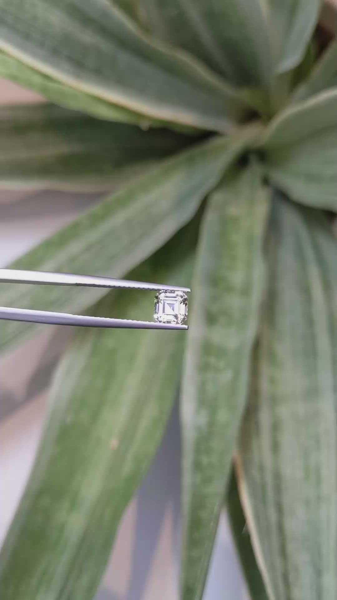 1.43 Ct. Yellow Sapphire from Ceylon (Sri Lanka) Size Video