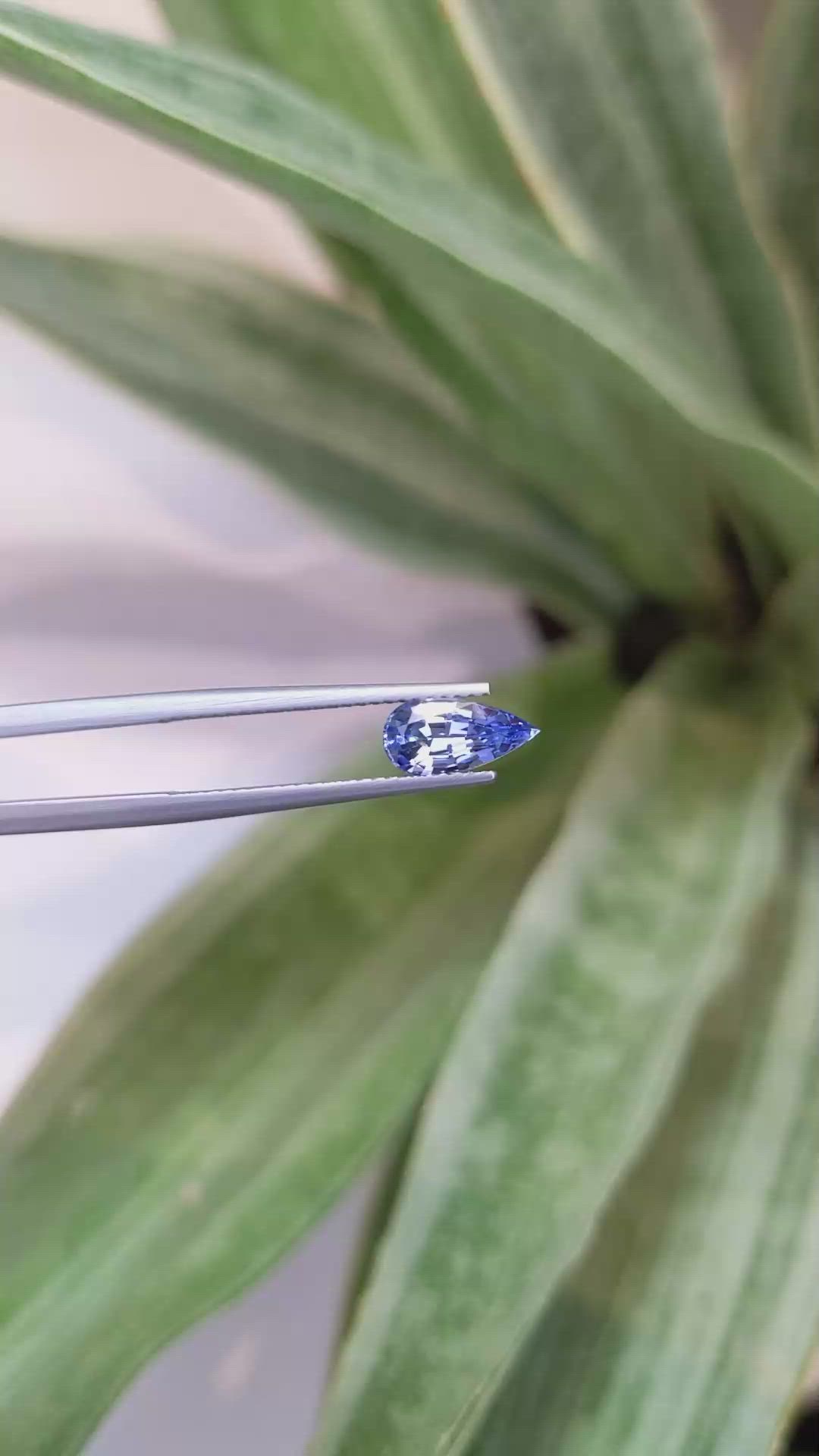 1.39 Ct. Blue Sapphire from Ceylon (Sri Lanka) Size Video