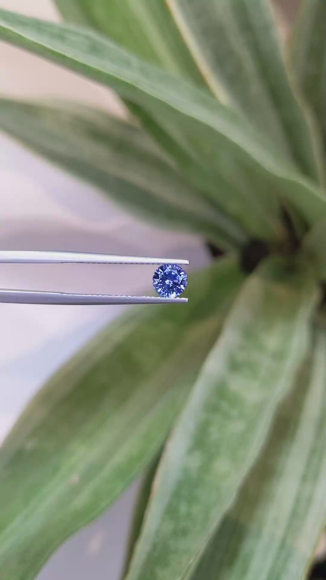 0.85 Ct. Blue Sapphire from Ceylon (Sri Lanka) Size Video