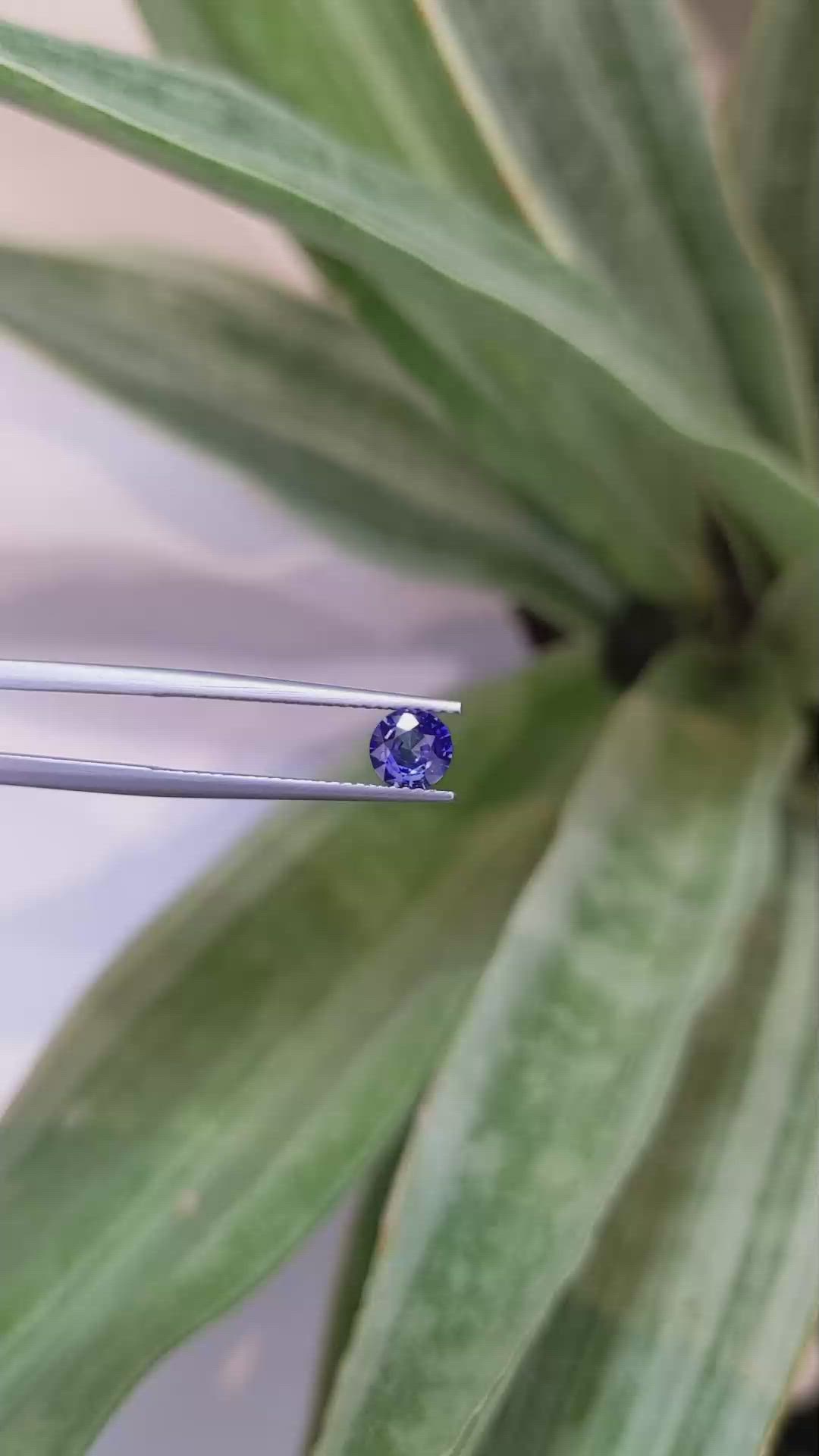 0.69 Ct. Blue Sapphire from Ceylon (Sri Lanka) Size Video