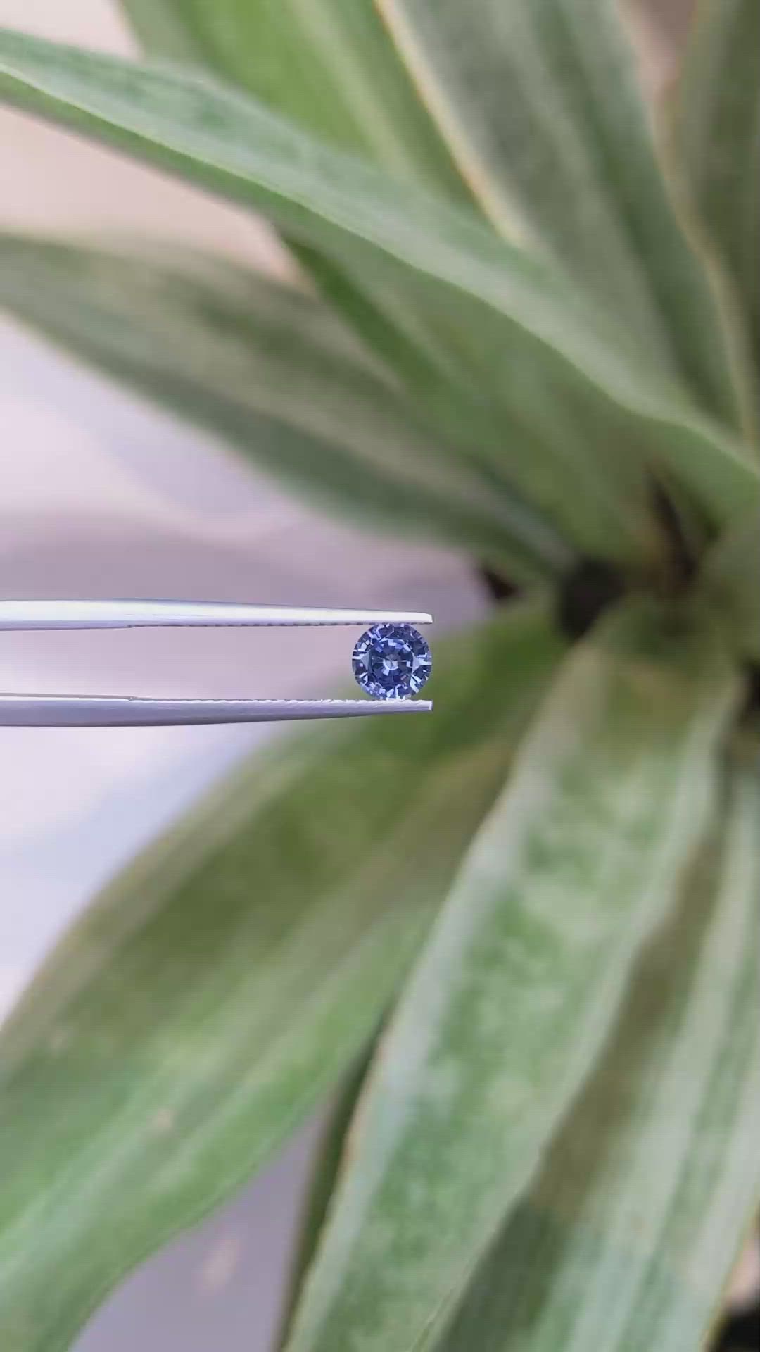 0.68 Ct. Blue Sapphire from Ceylon (Sri Lanka) Size Video
