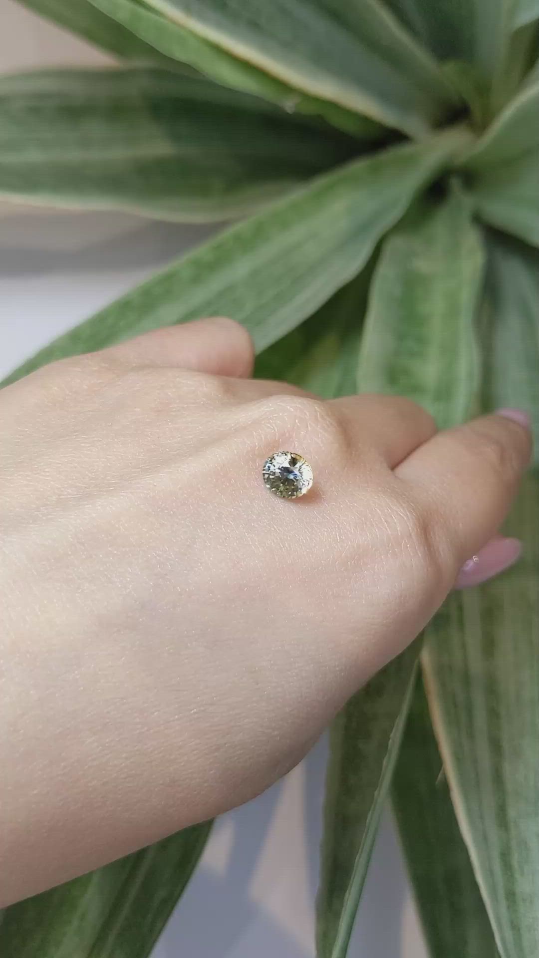 1.53 Ct. Bi Color Sapphire from Ceylon (Sri Lanka) Size Video