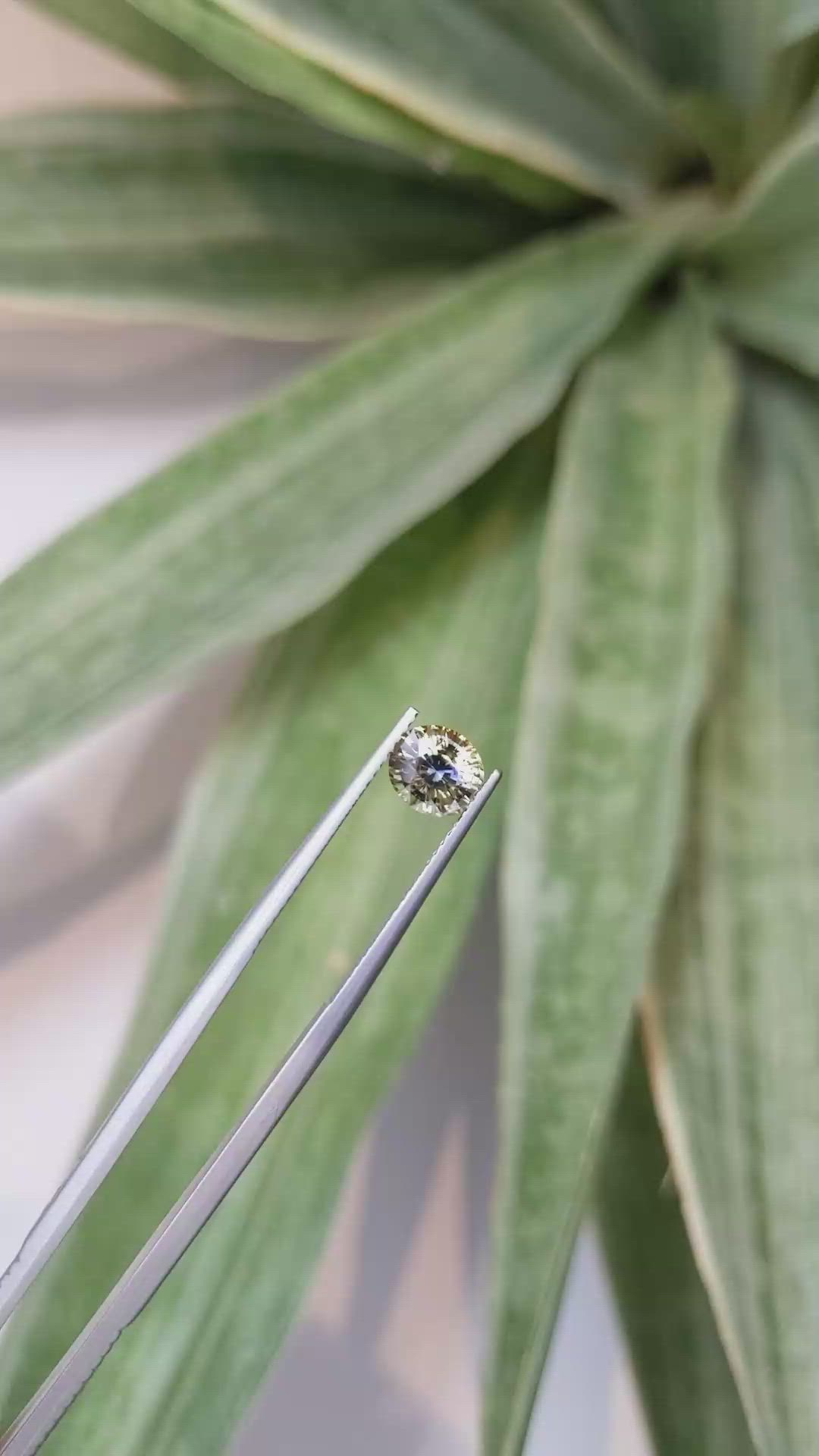 1.53 Ct. Bi Color Sapphire from Ceylon (Sri Lanka) Size Video