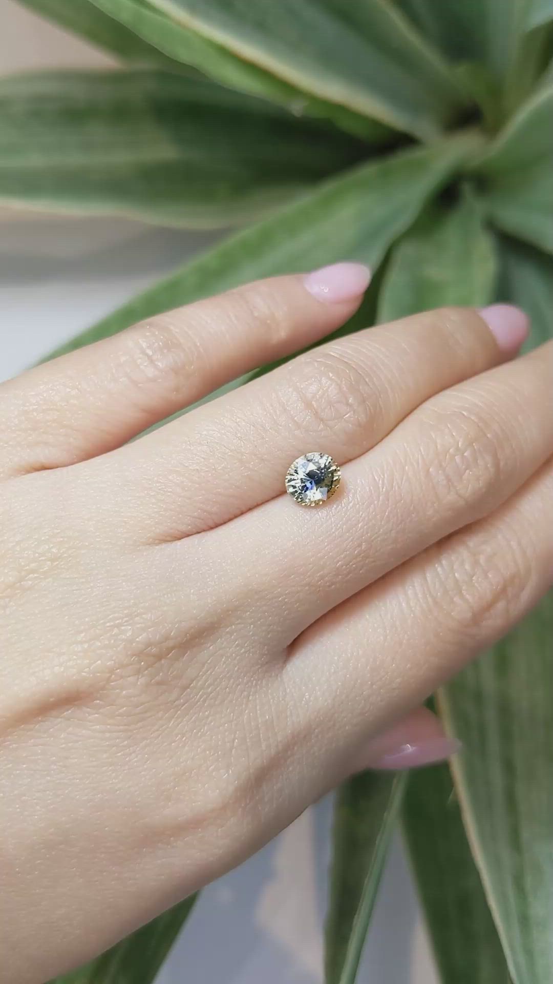 1.53 Ct. Bi Color Sapphire from Ceylon (Sri Lanka) Size Video