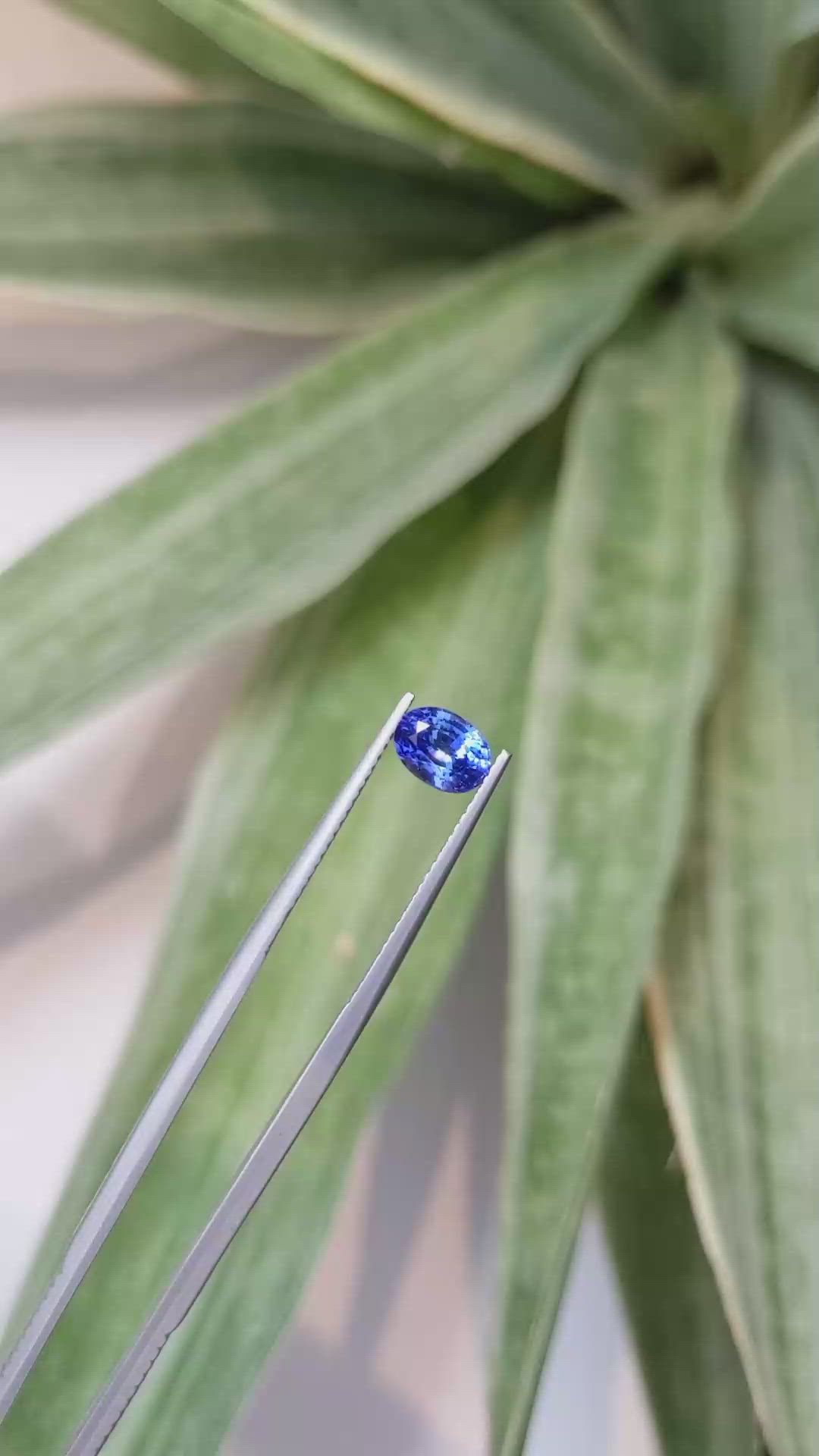 1.22 Ct. Blue Sapphire from Ceylon (Sri Lanka) Size Video
