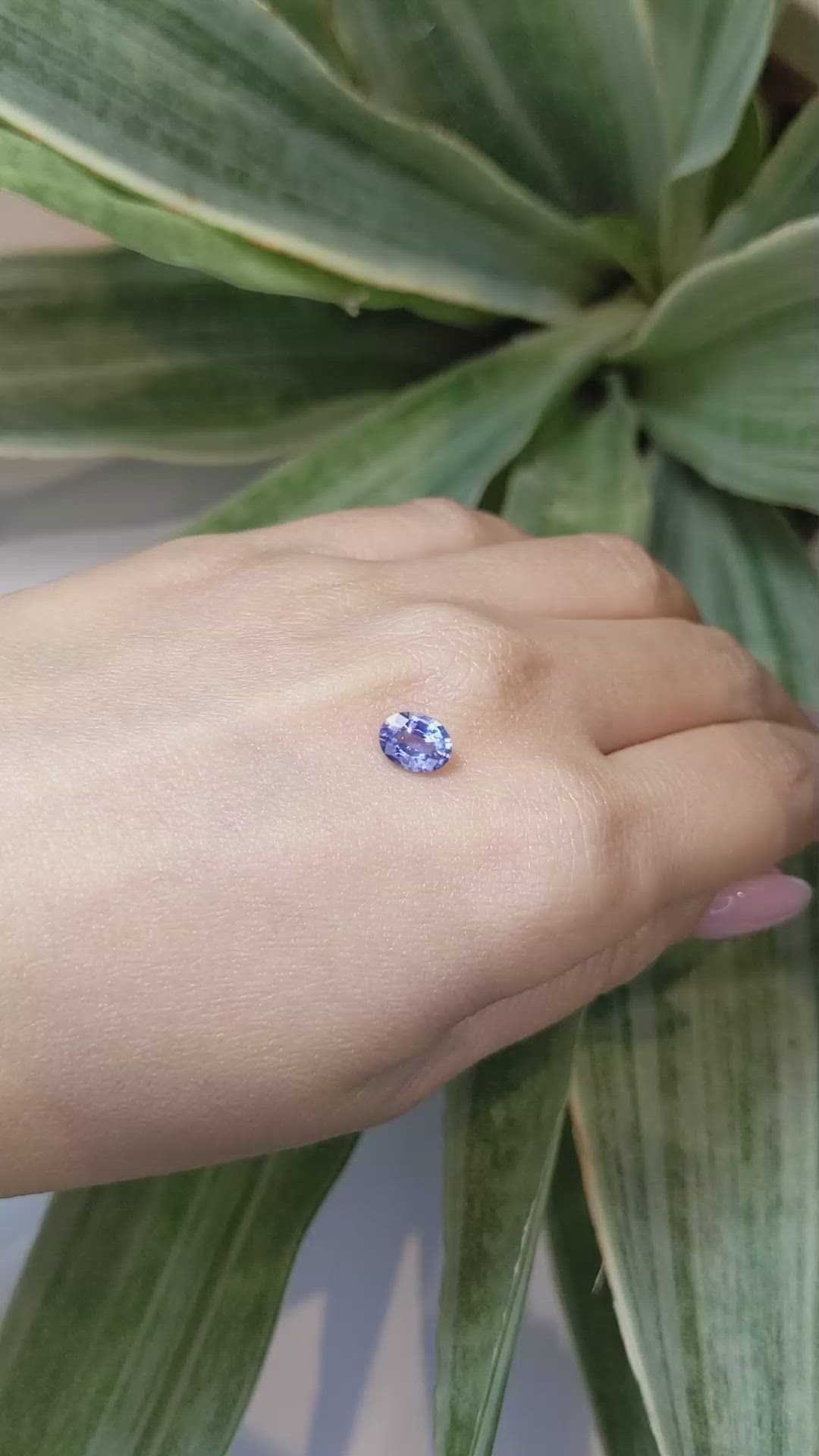 1.32 Ct. Blue Sapphire from Ceylon (Sri Lanka) Size Video