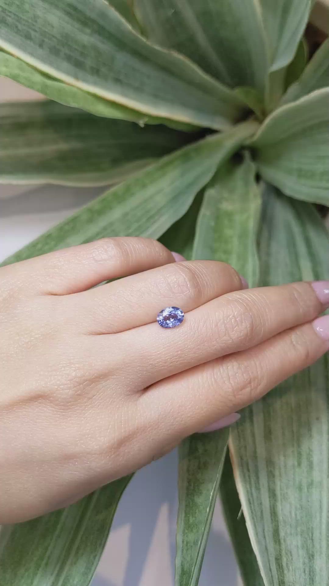1.32 Ct. Blue Sapphire from Ceylon (Sri Lanka) Size Video