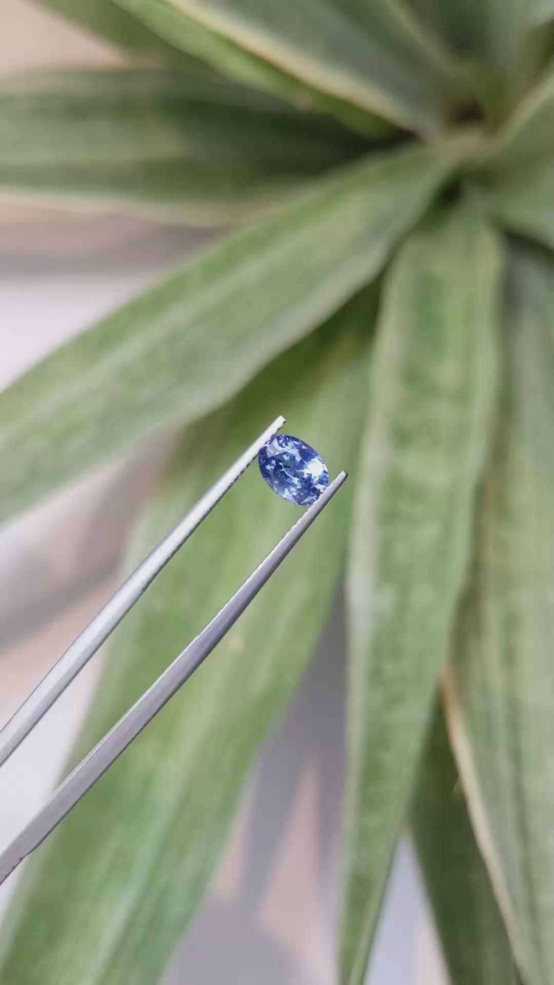 1.17 Ct. Blue Sapphire from Ceylon (Sri Lanka) Size Video