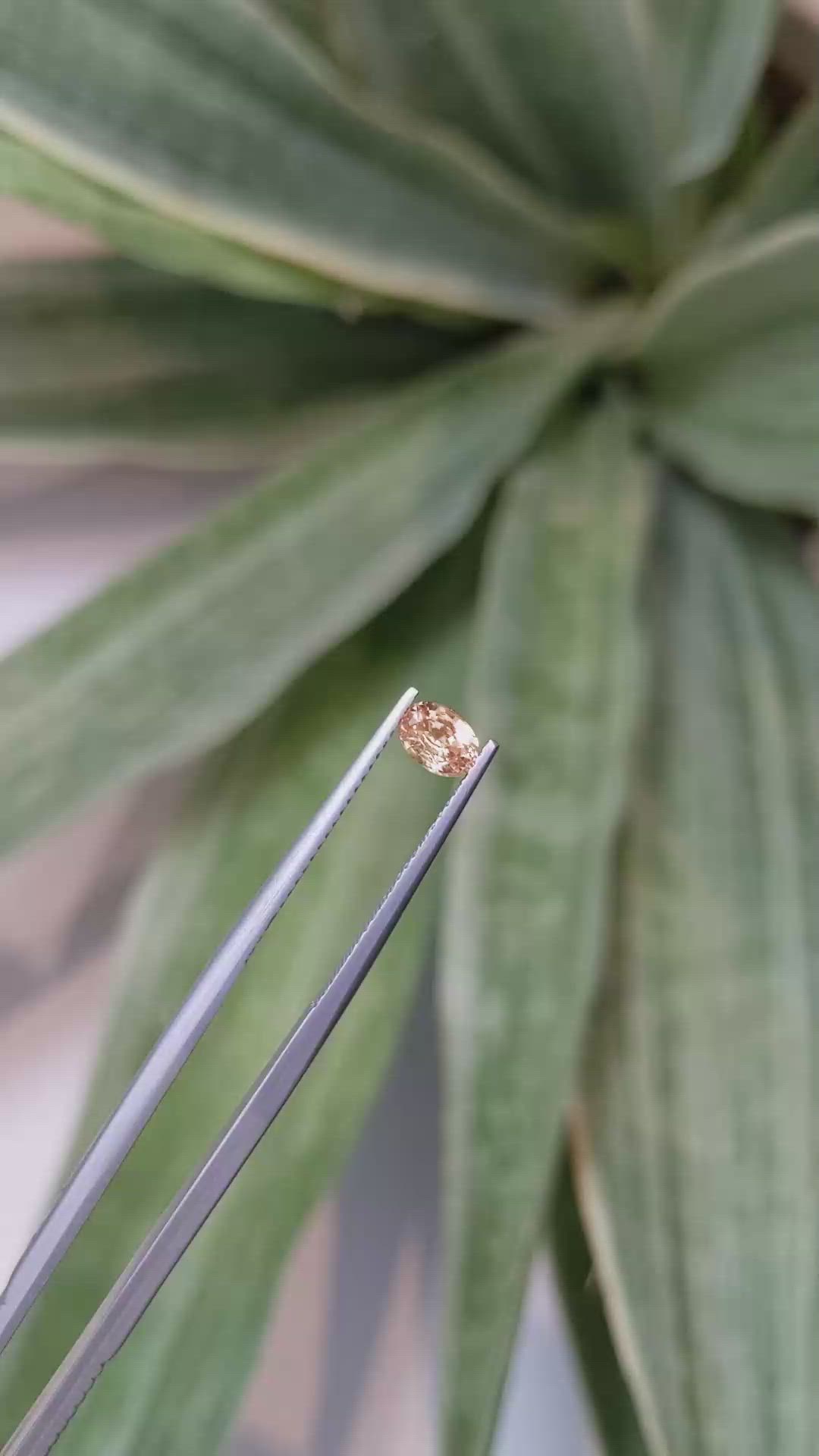 0.52 Ct. Peach Sapphire from Ceylon (Sri Lanka) Size Video