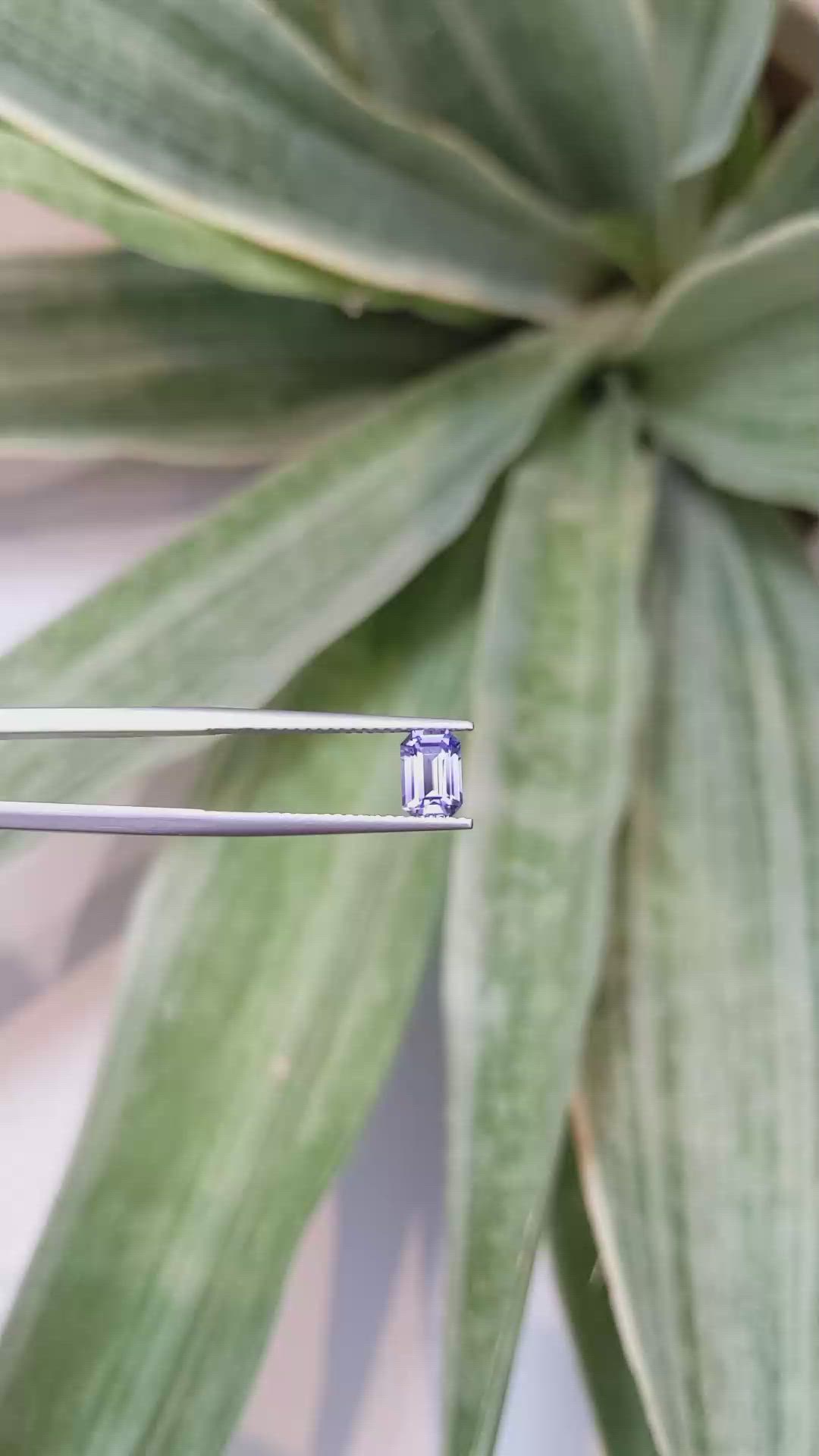 1.14 Ct. Violet Sapphire from Ceylon (Sri Lanka) Size Video