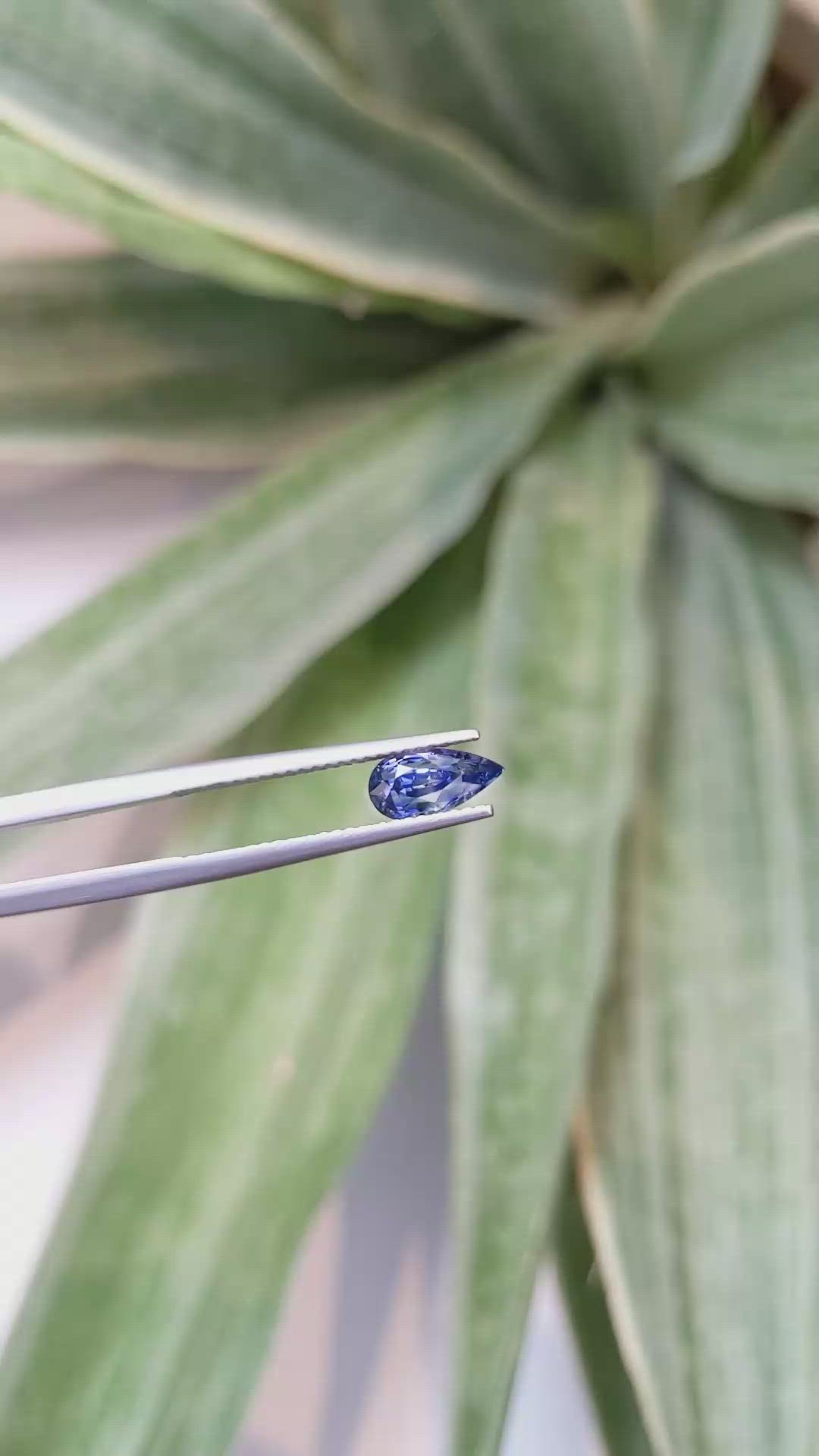 1.44 Ct. Blue Sapphire from Ceylon (Sri Lanka) Size Video
