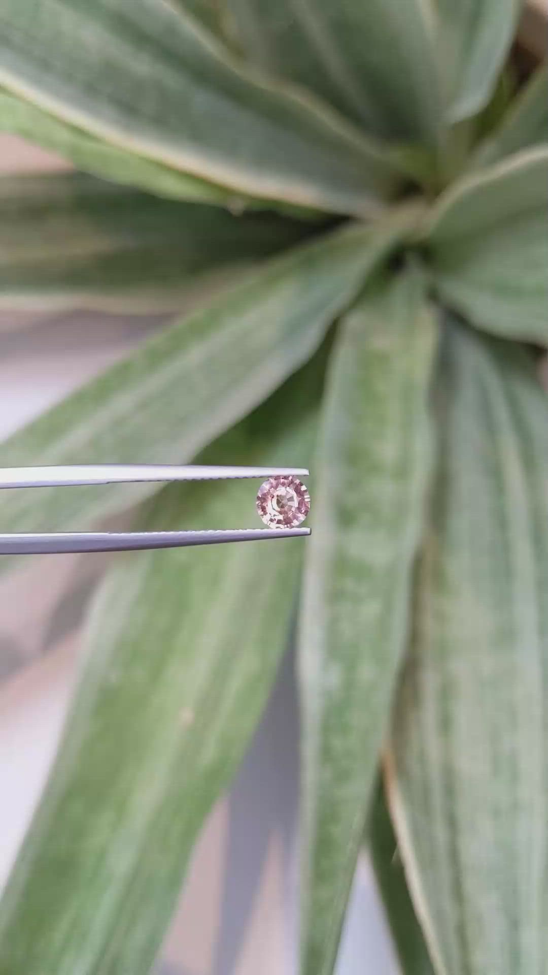 0.74 Ct. Padparadscha Sapphire from Ceylon (Sri Lanka) Size Video