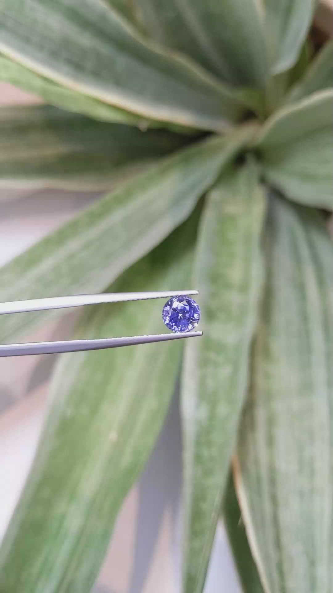 1.95 Ct. Blue Sapphire from Ceylon (Sri Lanka) Size Video