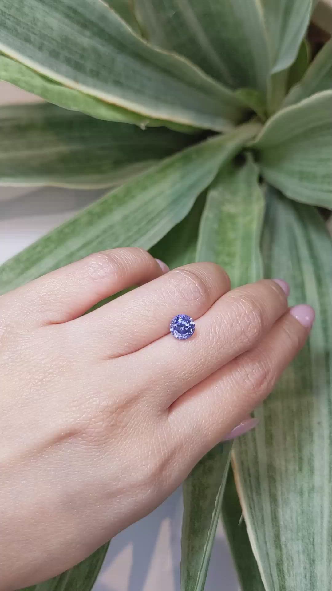1.95 Ct. Blue Sapphire from Ceylon (Sri Lanka) Size Video