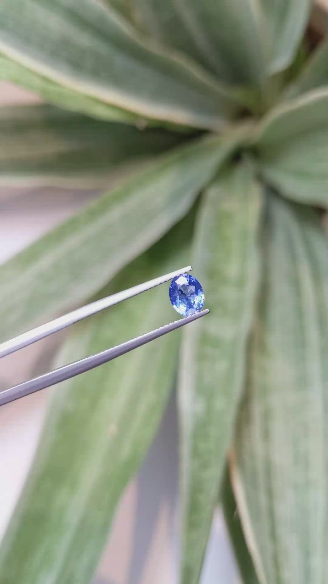 1.00 Ct. Blue Sapphire from Ceylon (Sri Lanka) Size Video
