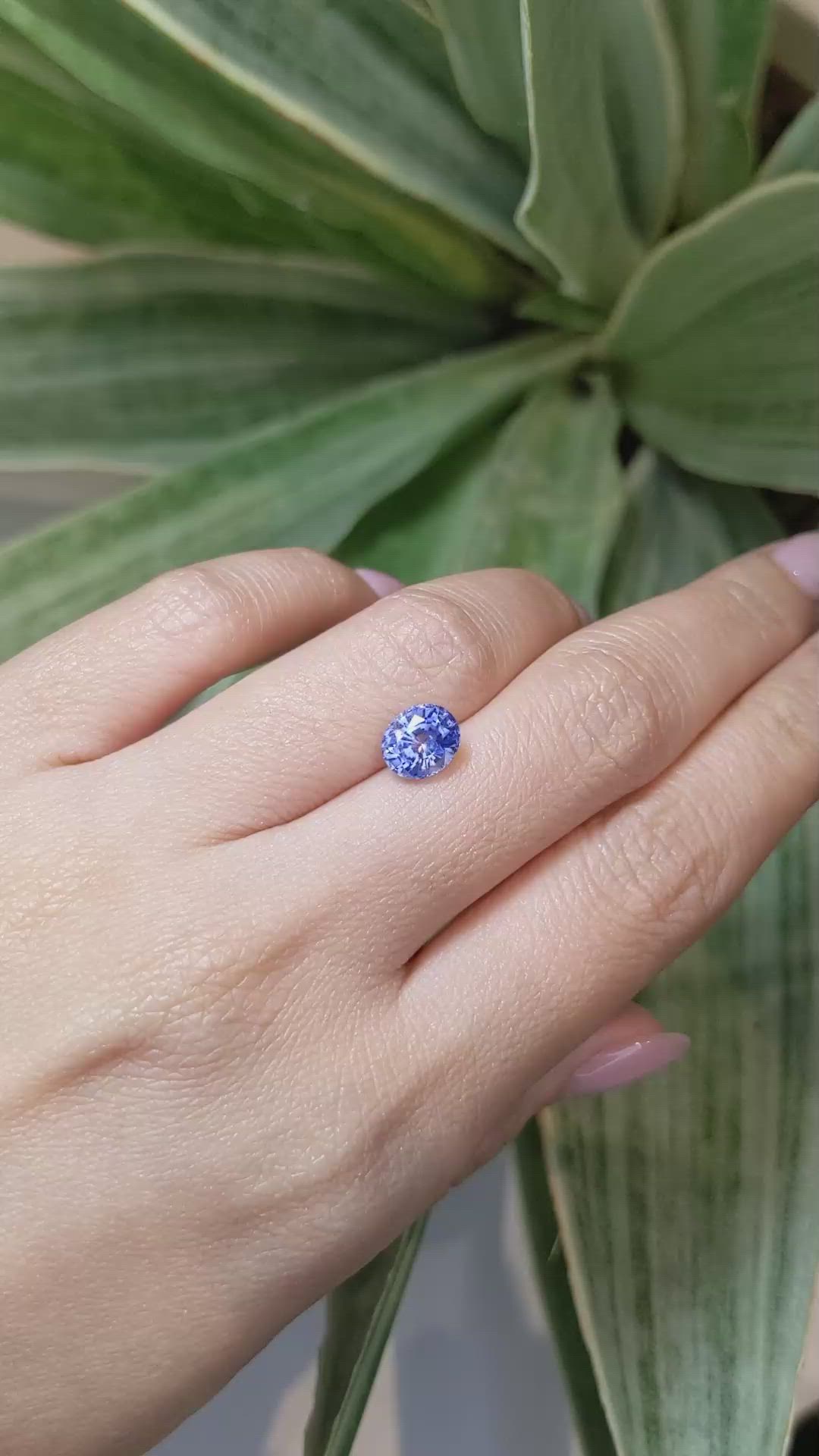2.02 Ct. Blue Sapphire from Ceylon (Sri Lanka) Size Video