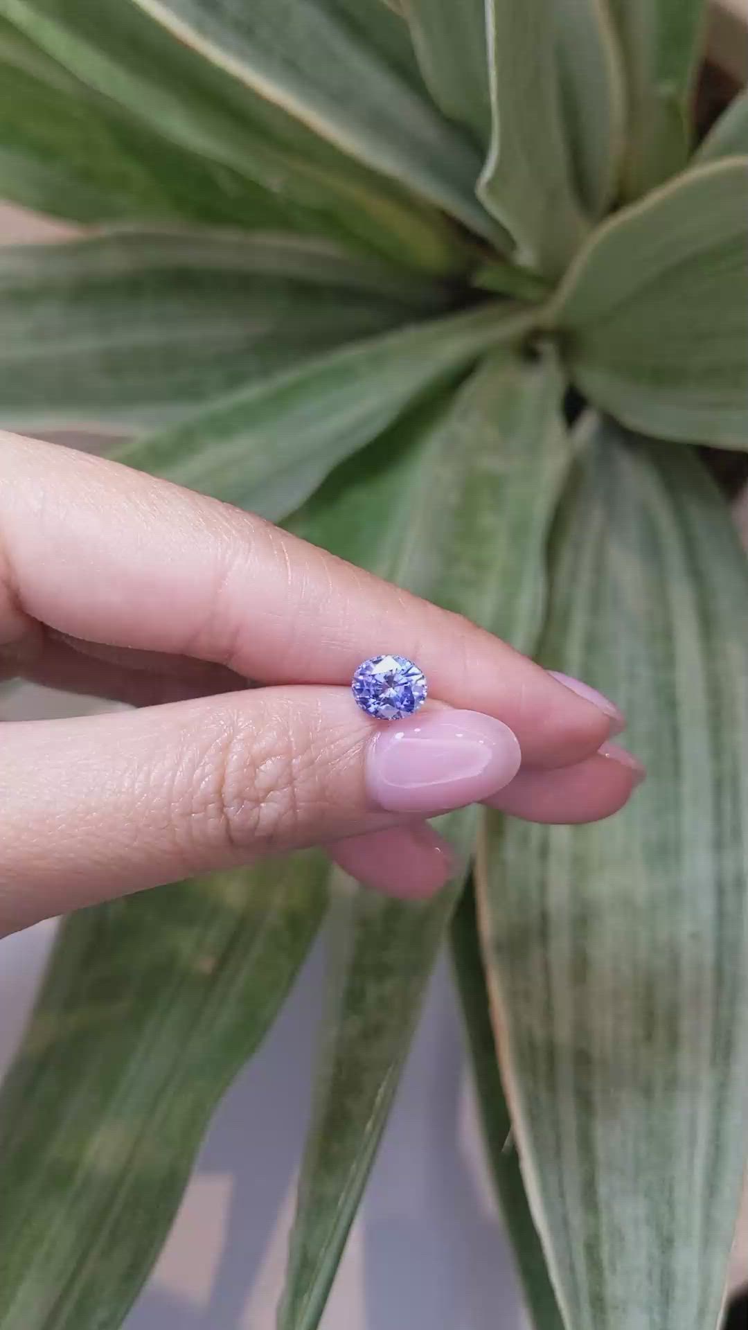 2.02 Ct. Blue Sapphire from Ceylon (Sri Lanka) Size Video