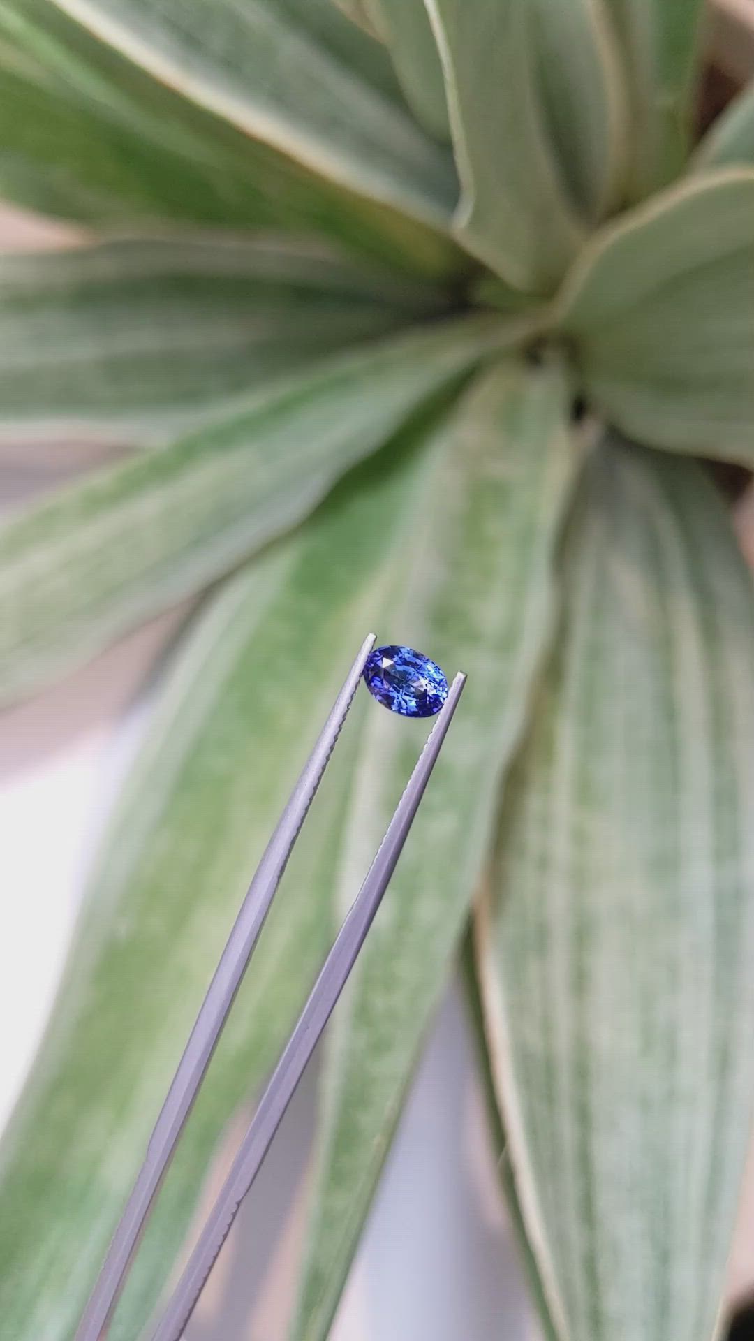 1.03 Ct. Sapphire from Ceylon (Sri Lanka) Size Video