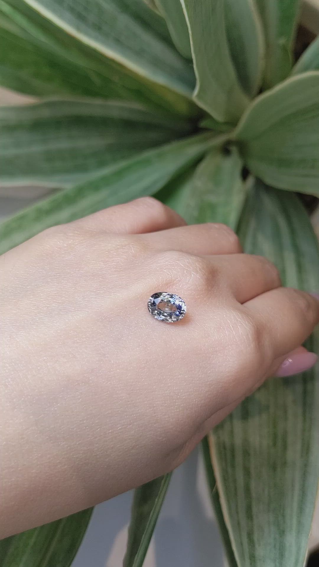 3.22 Ct. Bi Color Sapphire from Ceylon (Sri Lanka) Size Video