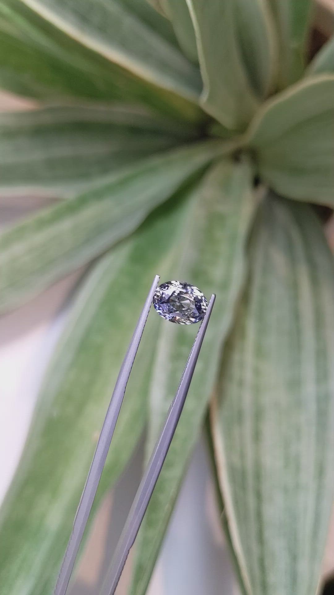 3.22 Ct. Bi Color Sapphire from Ceylon (Sri Lanka) Size Video