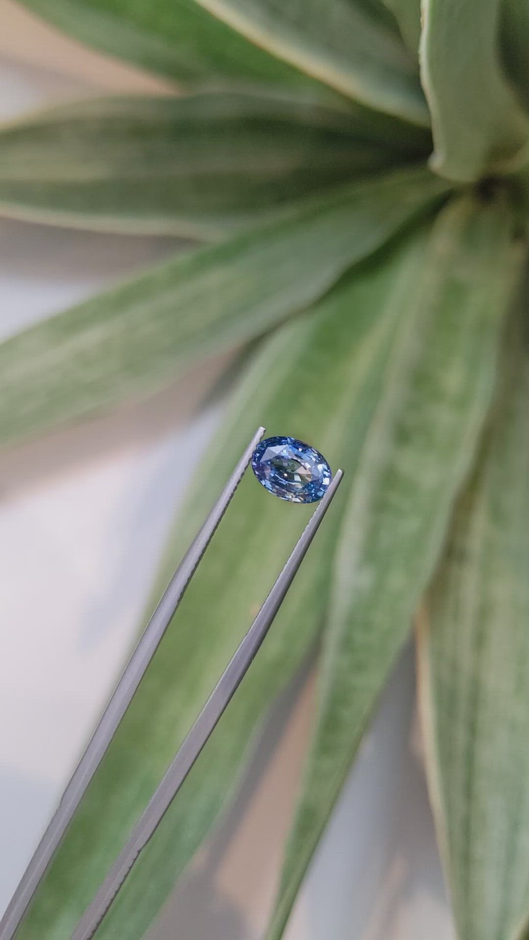 1.97 Ct. Bi Color Sapphire from Ceylon (Sri Lanka) Size Video
