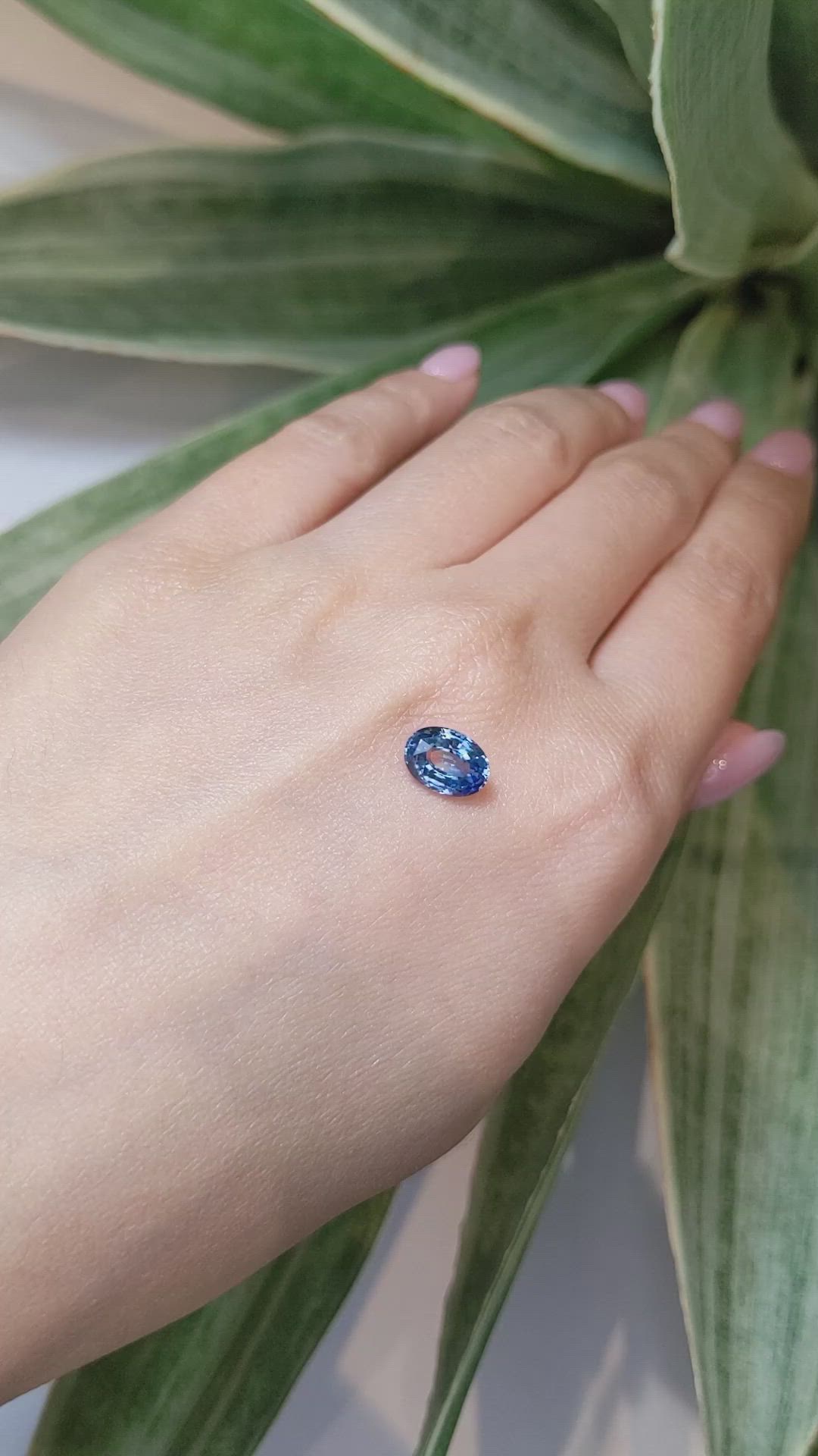 1.97 Ct. Bi Color Sapphire from Ceylon (Sri Lanka) Size Video