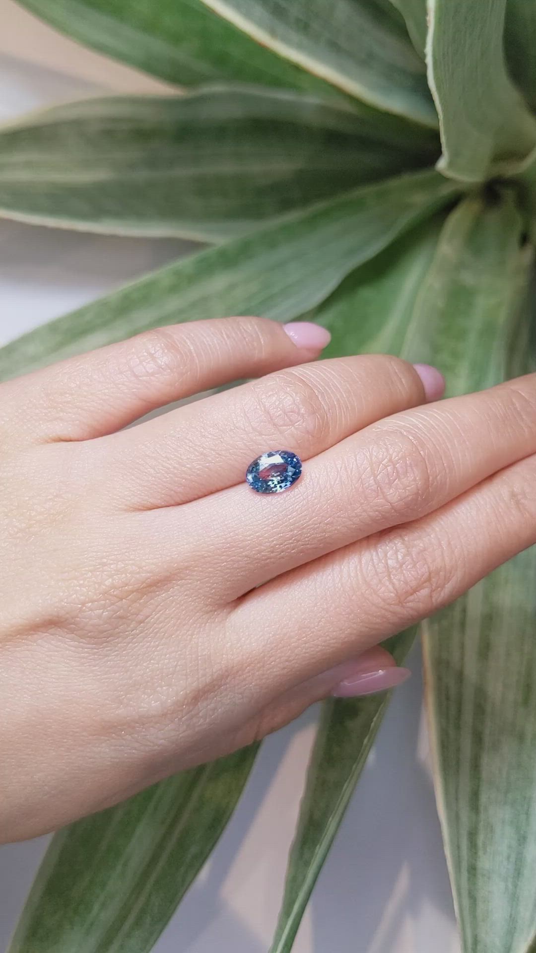 1.97 Ct. Bi Color Sapphire from Ceylon (Sri Lanka) Size Video