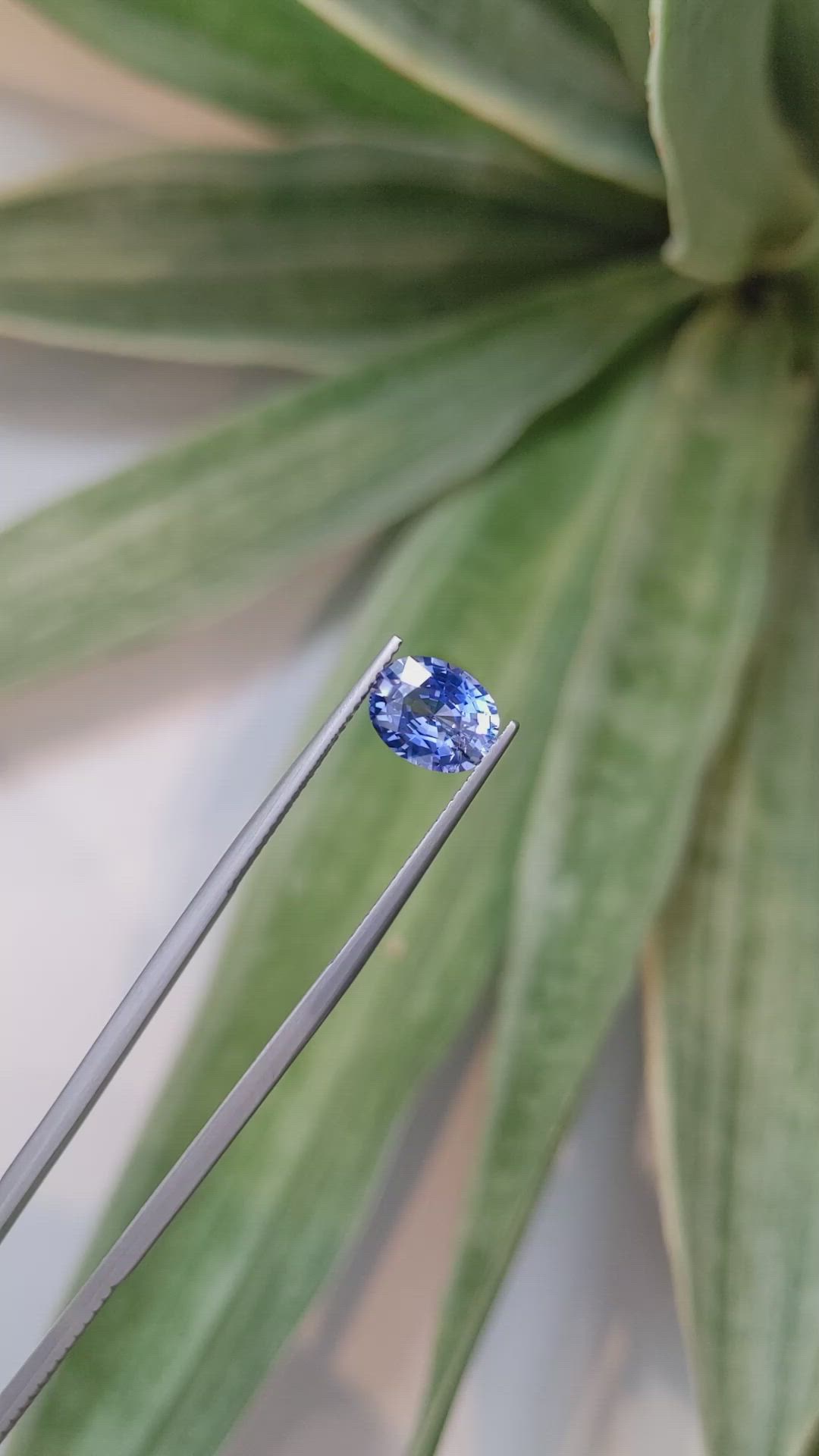 2.47 Ct. Blue Sapphire from Ceylon (Sri Lanka) Size Video