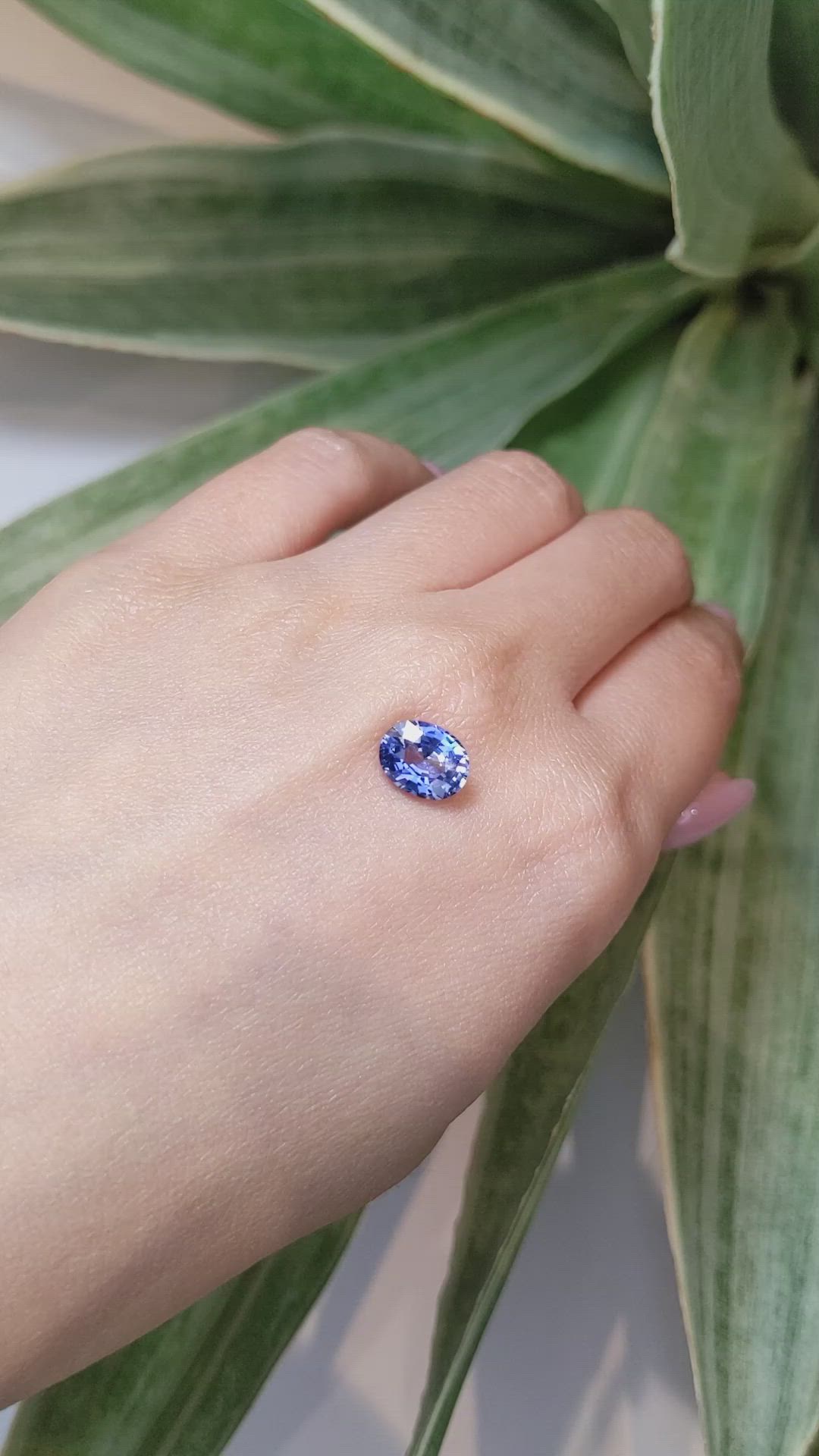 2.47 Ct. Blue Sapphire from Ceylon (Sri Lanka) Size Video